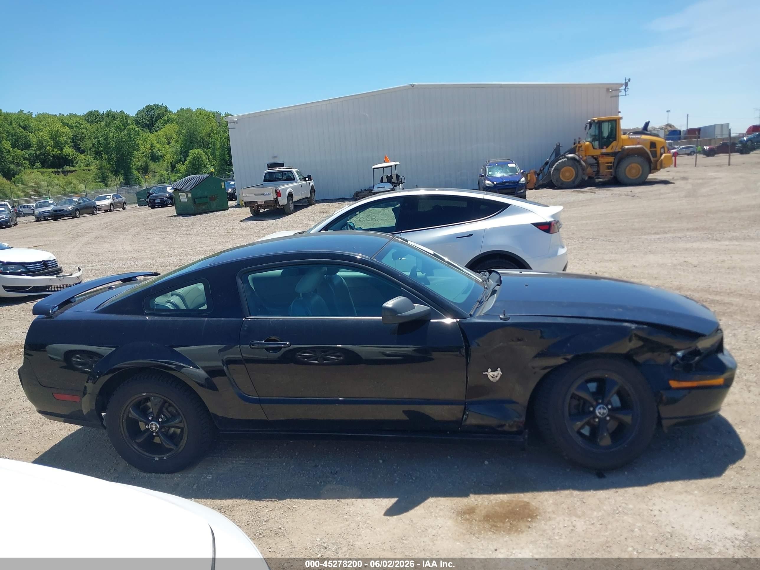 2009 Ford Mustang Gt/gt Premium Black vin: 1ZVHT82H395117757