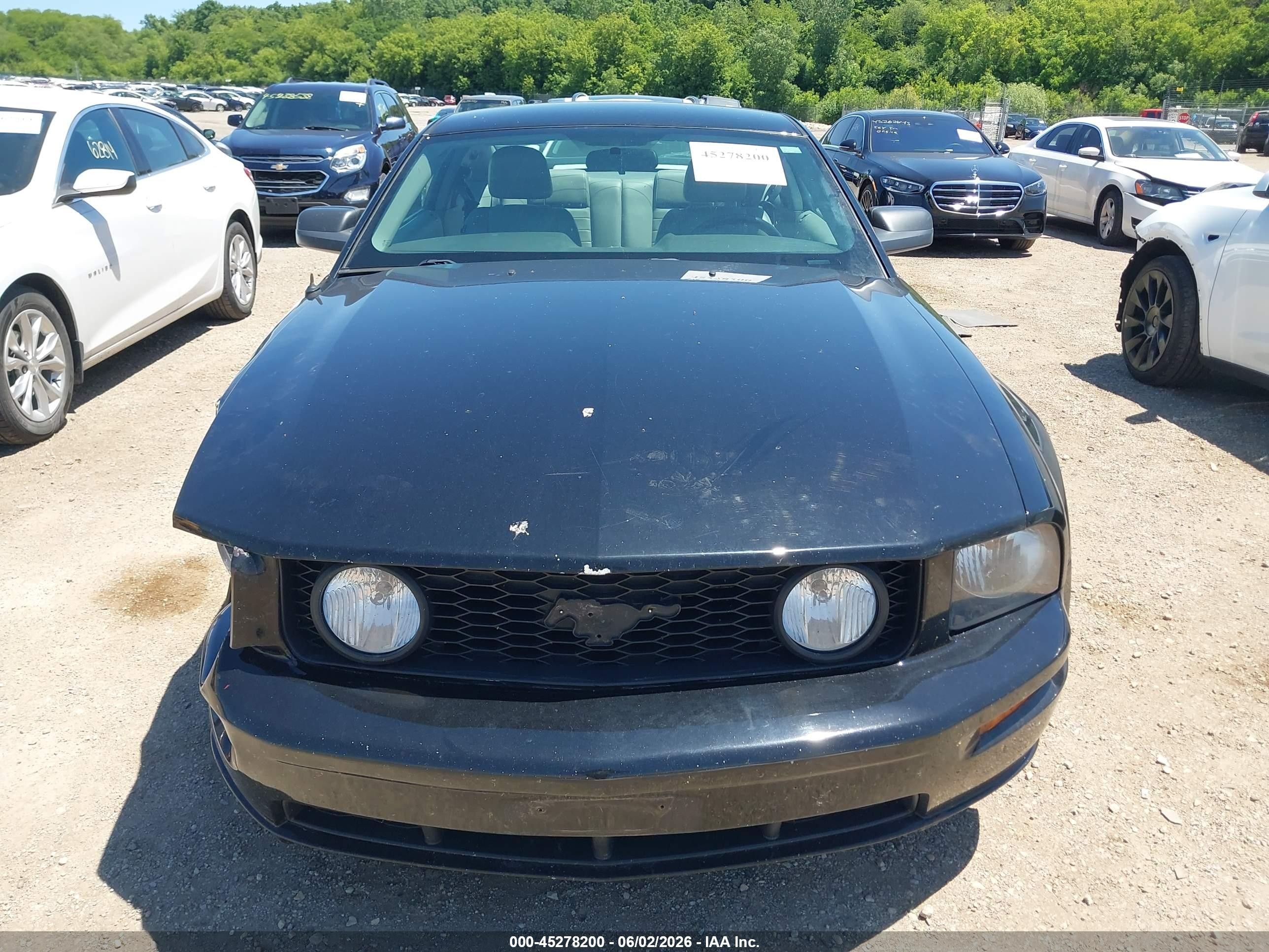 2009 Ford Mustang Gt/gt Premium Black vin: 1ZVHT82H395117757
