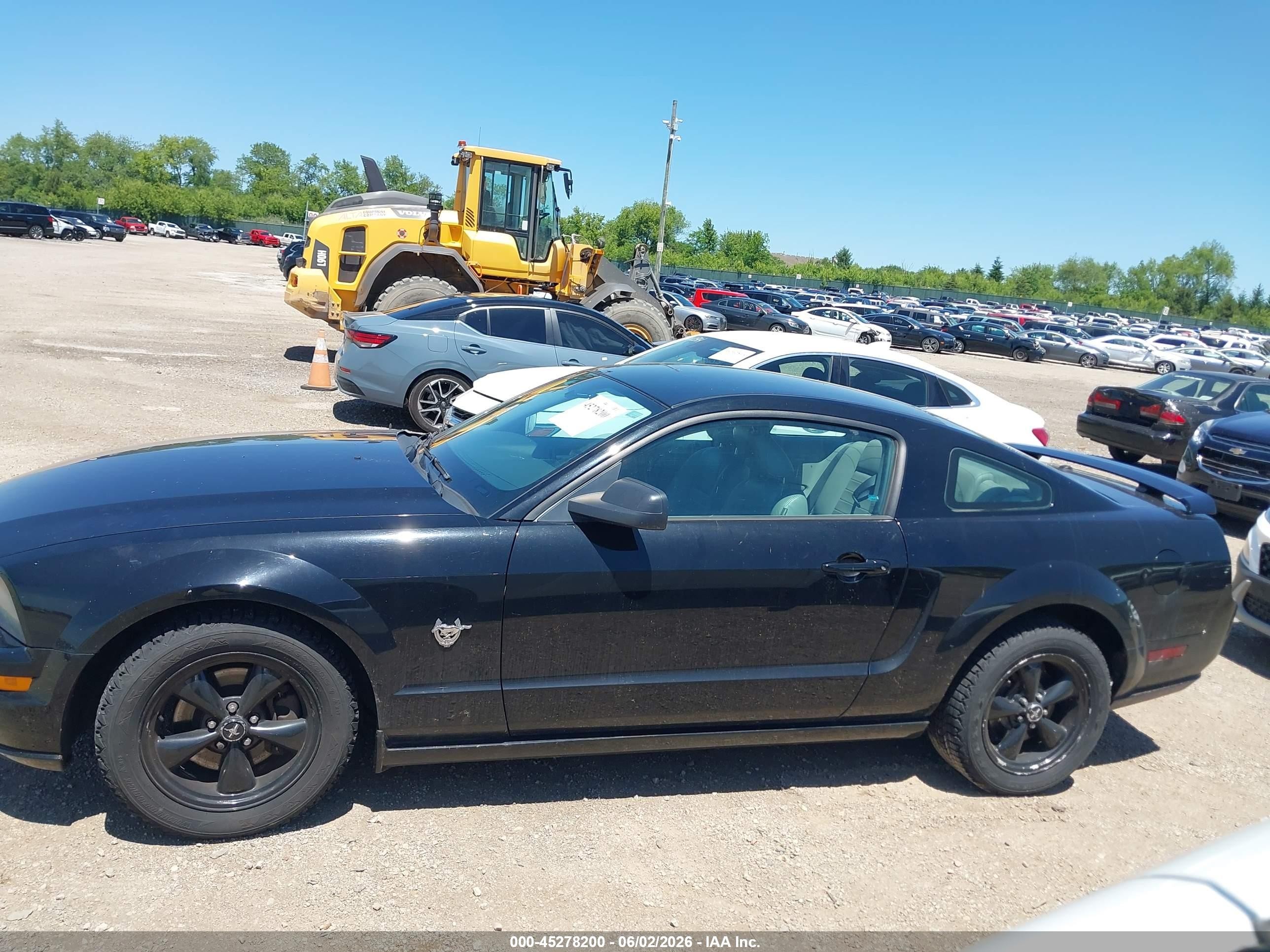 2009 Ford Mustang Gt/gt Premium Black vin: 1ZVHT82H395117757