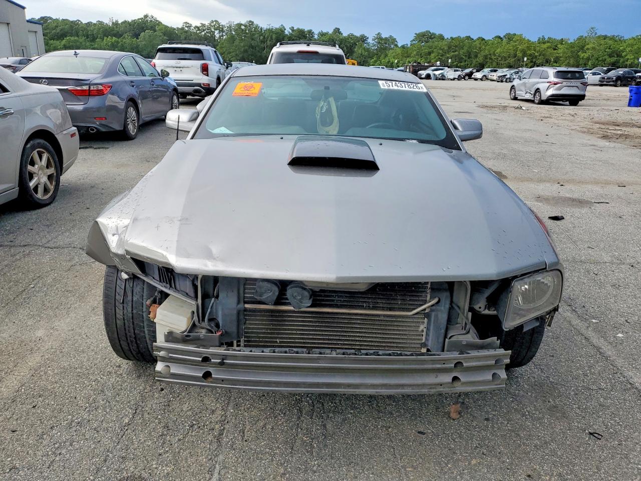 2008 Ford Mustang Gt Gray vin: 1ZVHT82H485102375