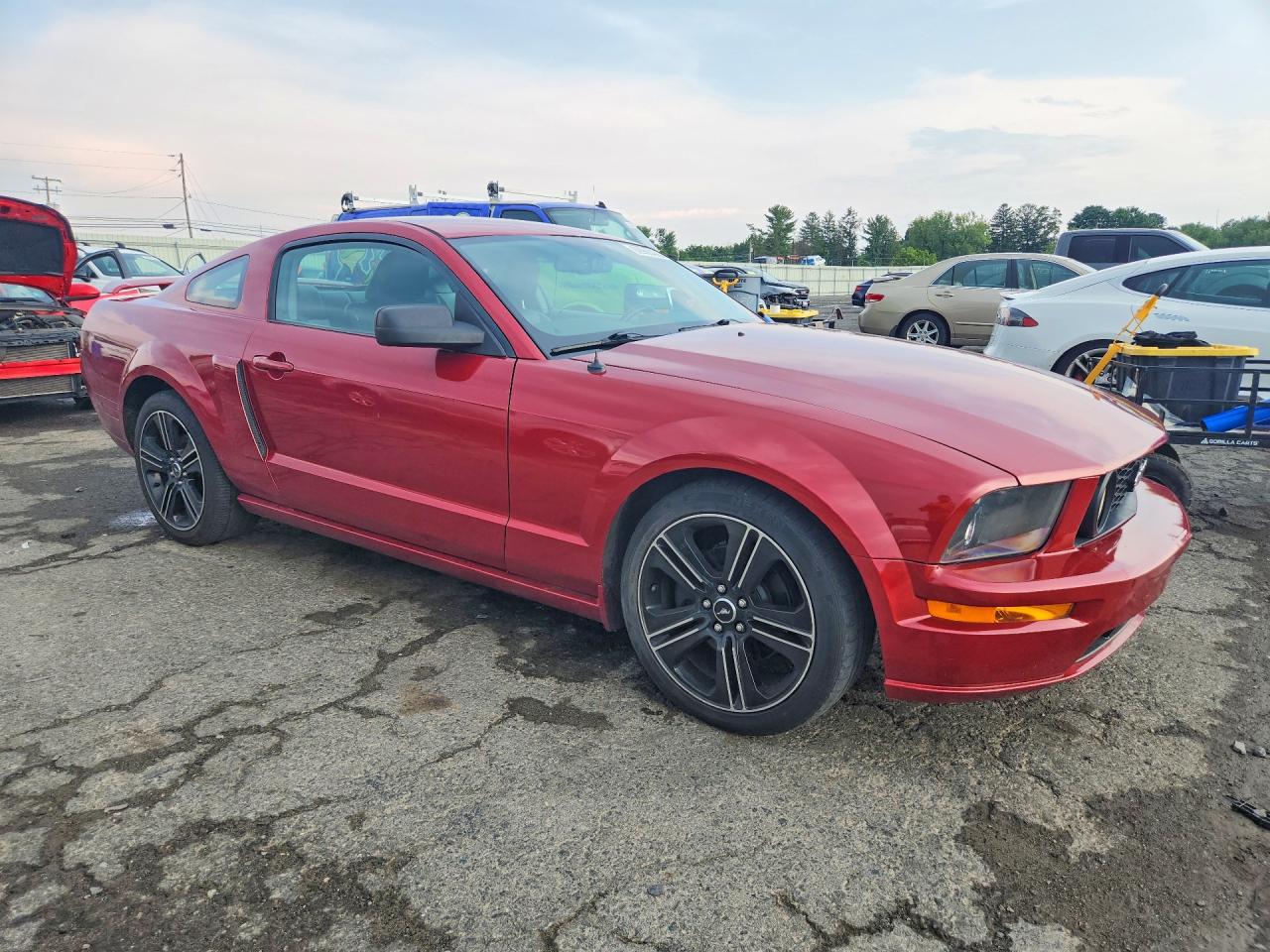 2008 Ford Mustang Gt Red vin: 1ZVHT82H485111318