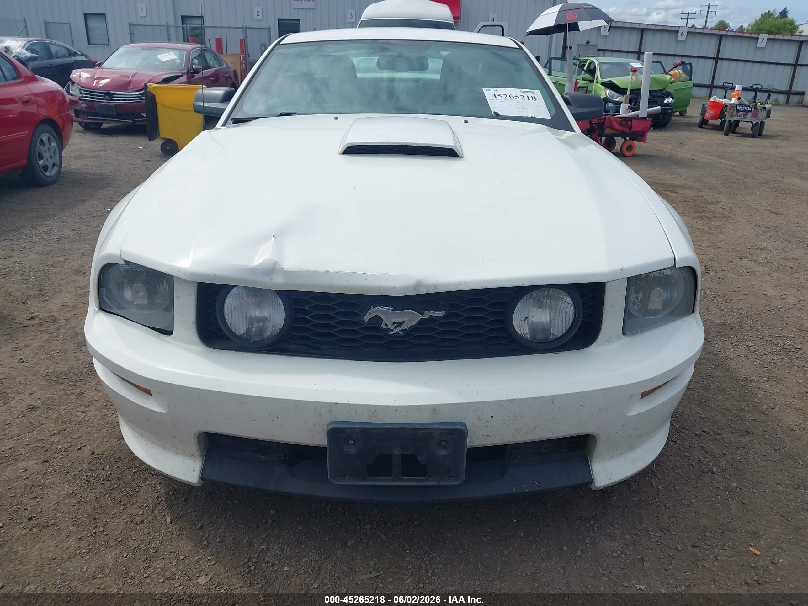 2008 Ford Mustang Gt Deluxe/gt Premium Белый vin: 1ZVHT82H485120780