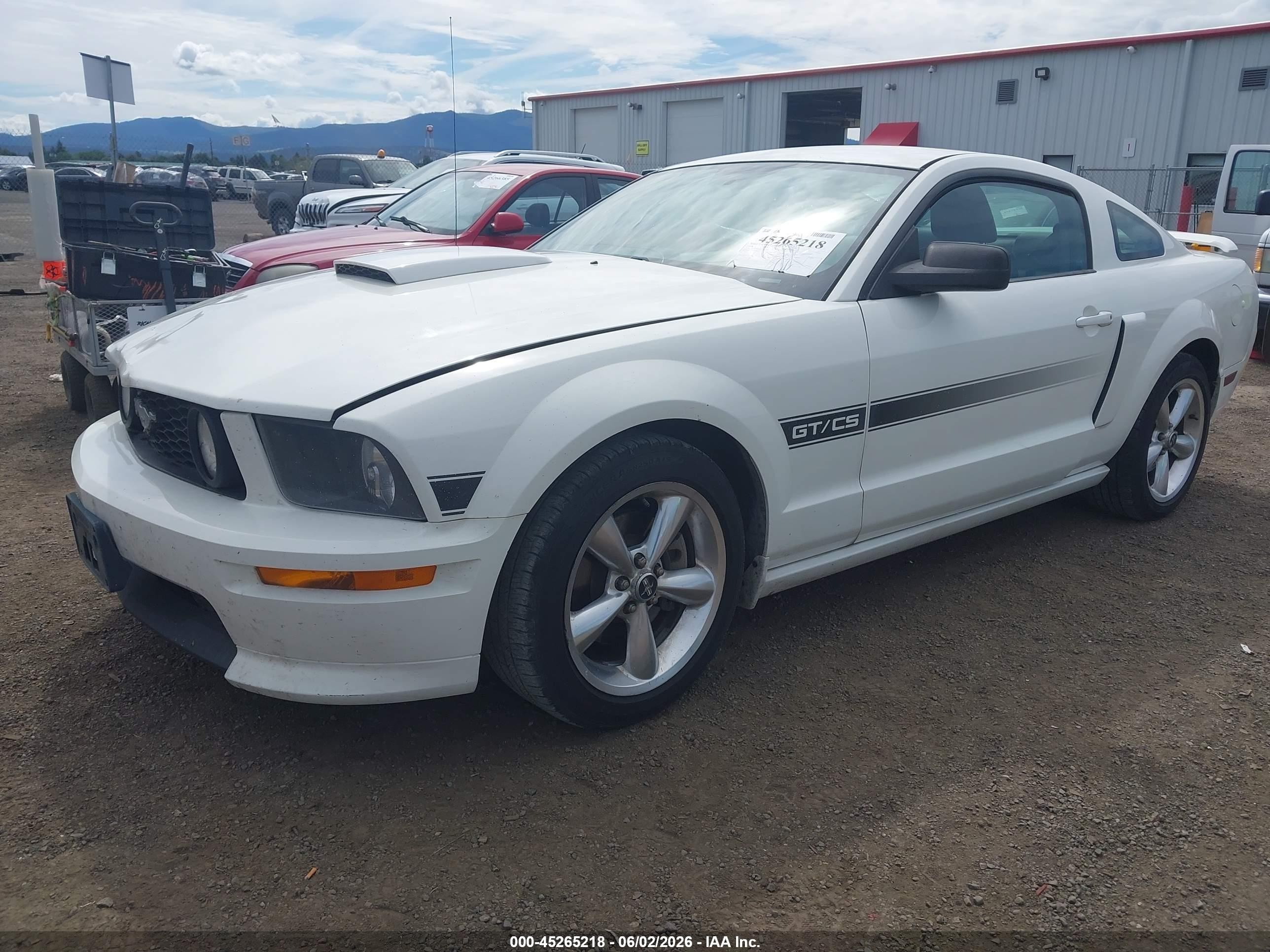 2008 Ford Mustang Gt Deluxe/gt Premium Белый vin: 1ZVHT82H485120780