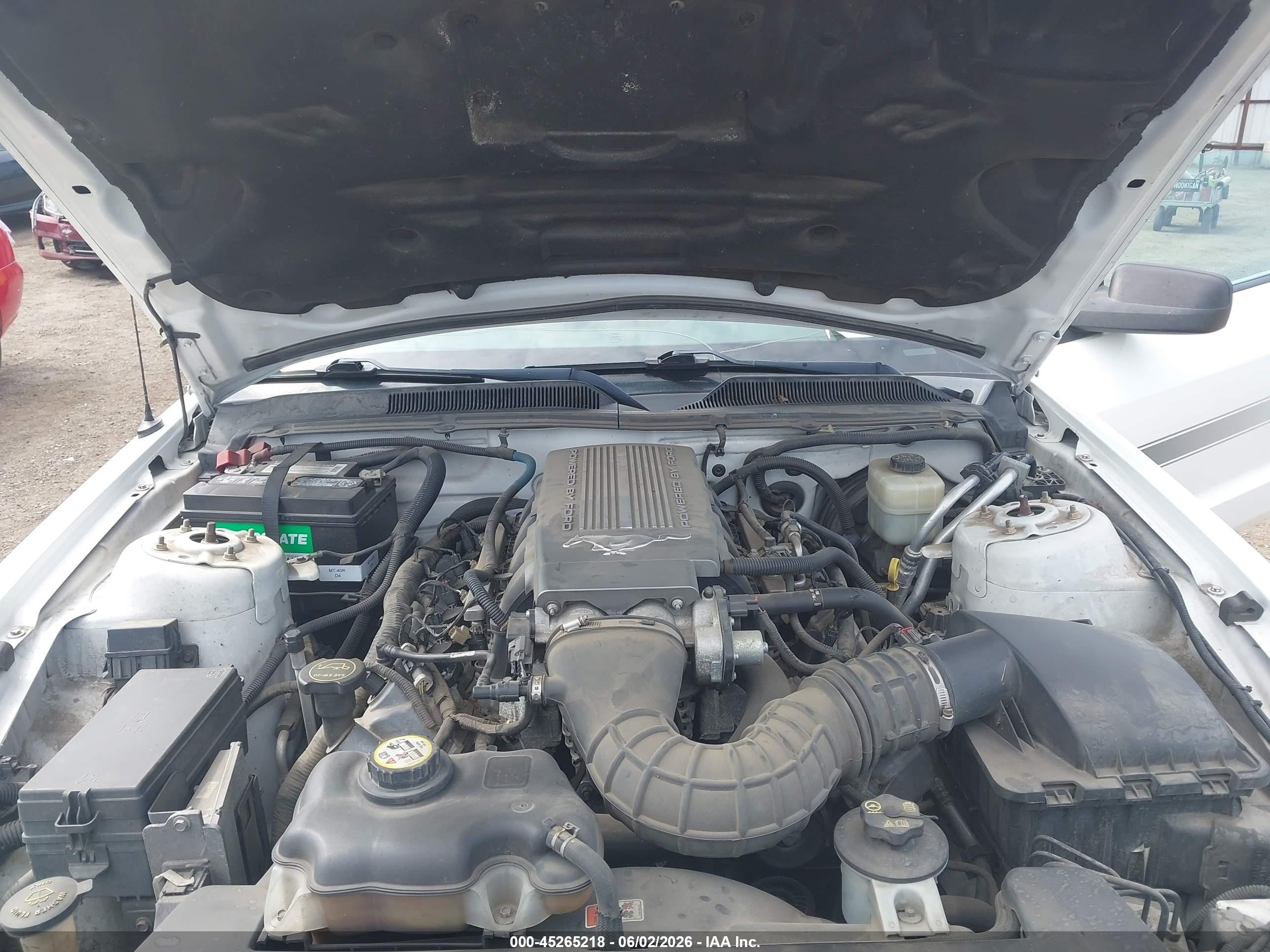 2008 Ford Mustang Gt Deluxe/gt Premium Белый vin: 1ZVHT82H485120780