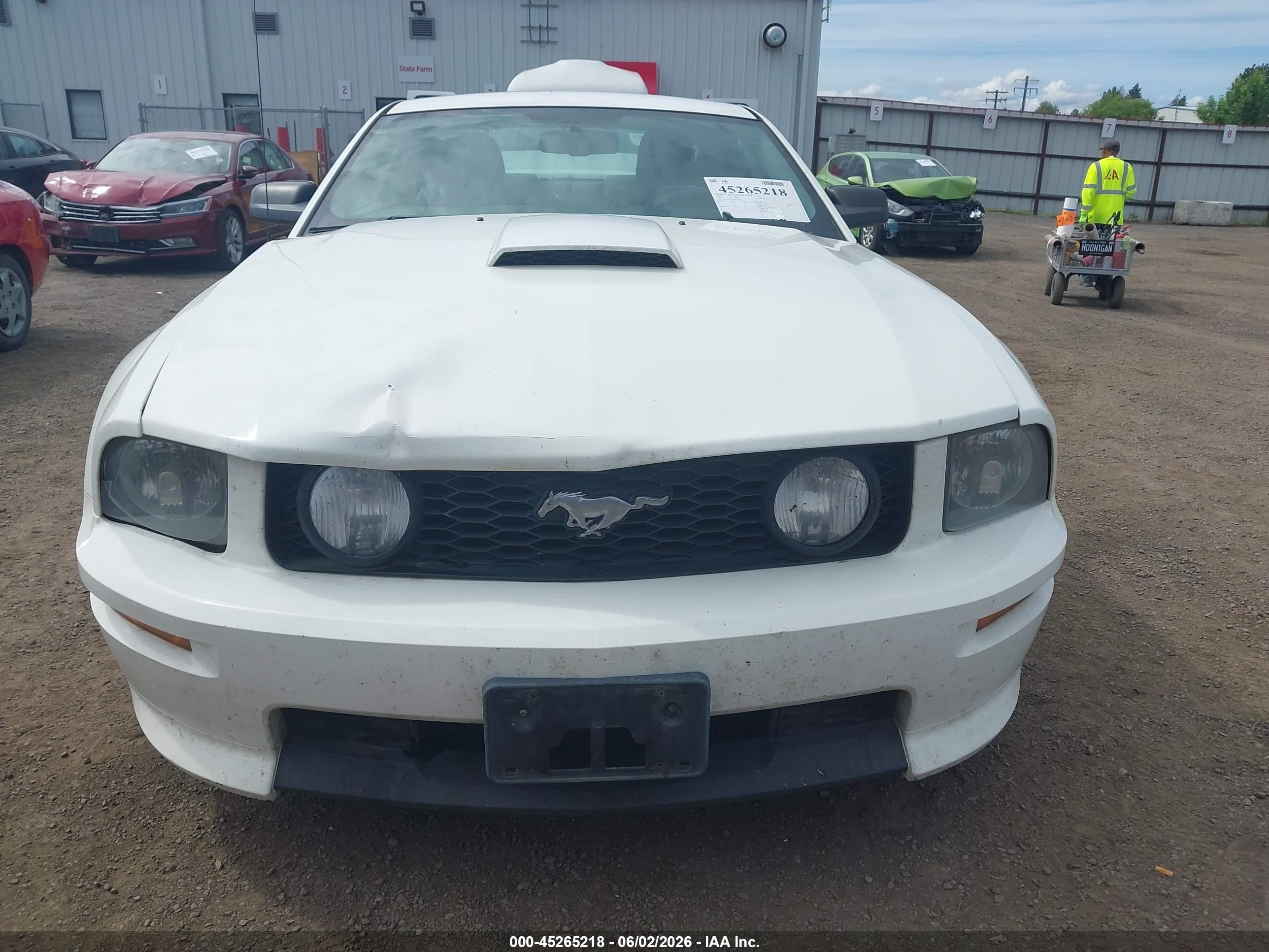 2008 Ford Mustang Gt Deluxe/gt Premium Белый vin: 1ZVHT82H485120780