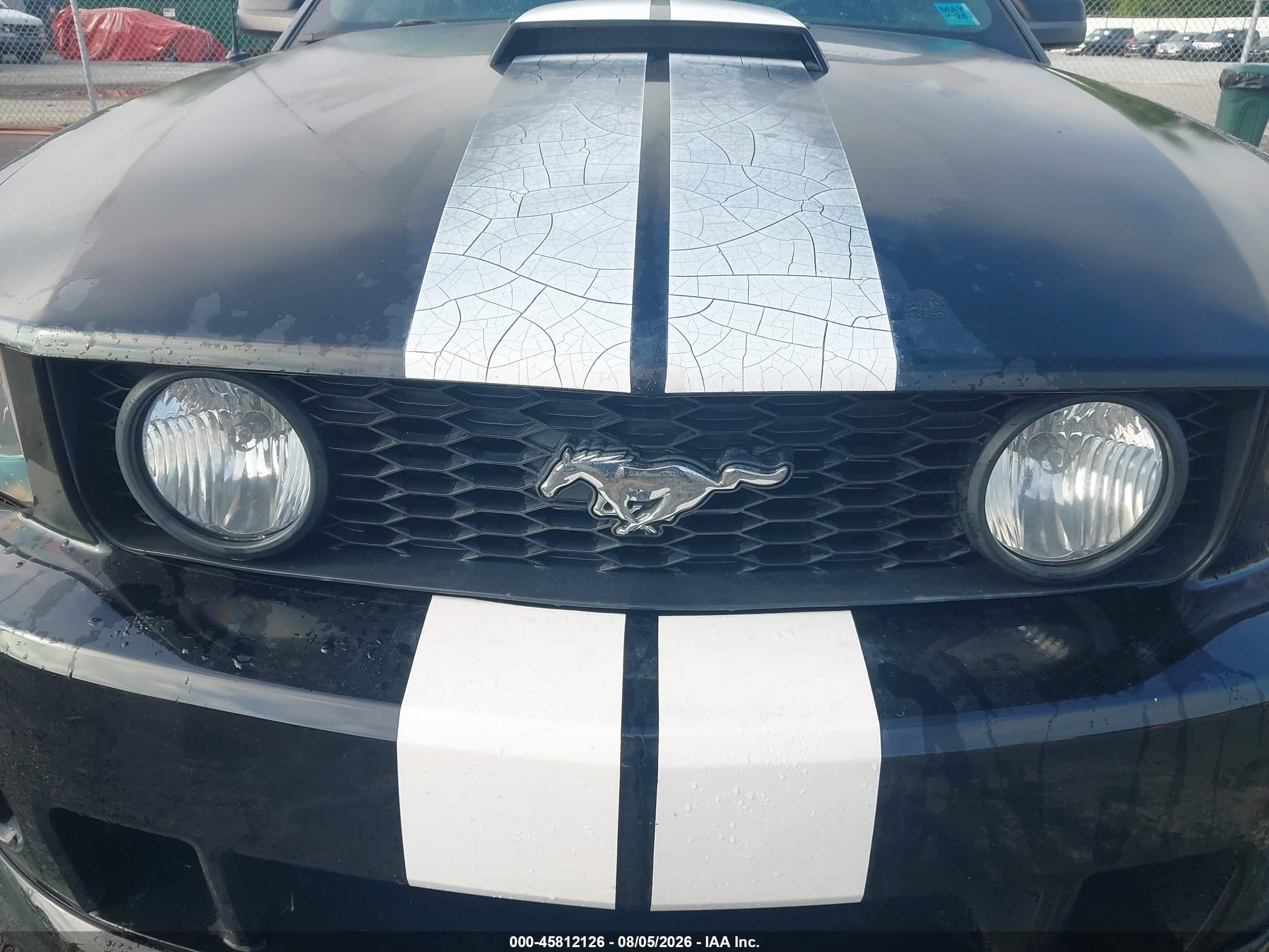 2008 Ford Mustang Gt Deluxe/gt Premium Black vin: 1ZVHT82H485144979