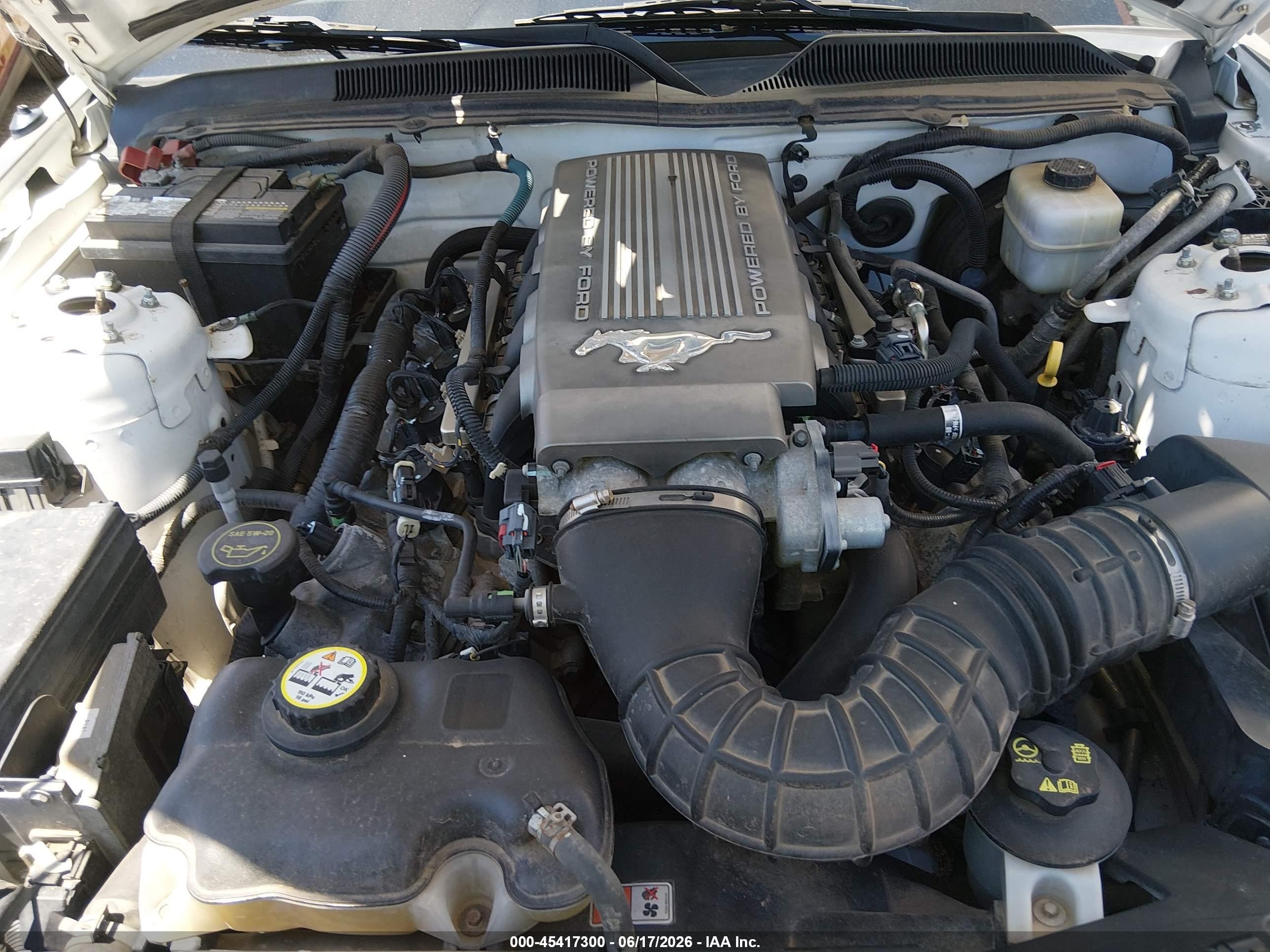 2008 Ford Mustang Gt Deluxe/gt Premium Серый vin: 1ZVHT82H485199688