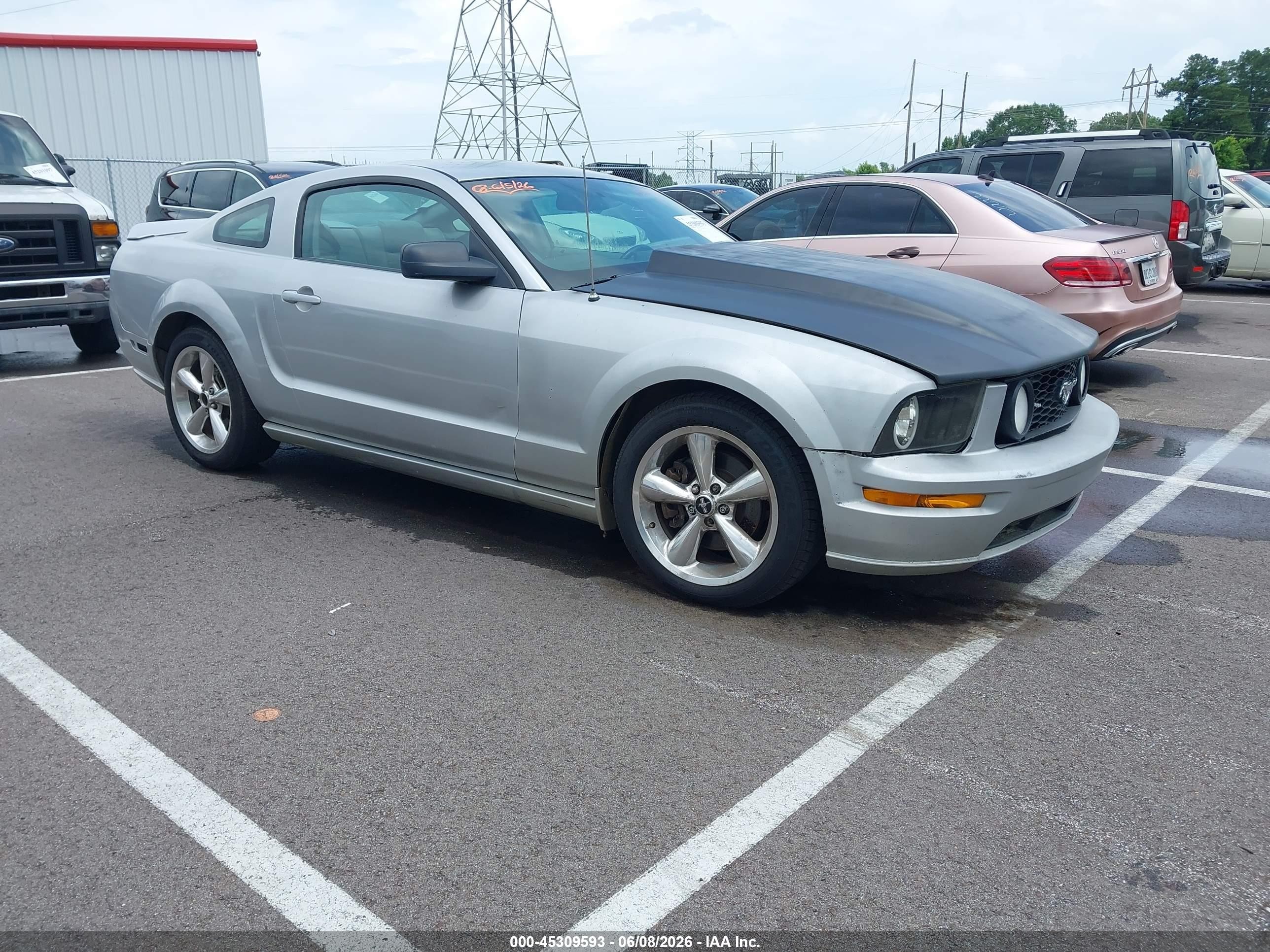 2009 Ford Mustang Gt/gt Premium Gray vin: 1ZVHT82H495107044