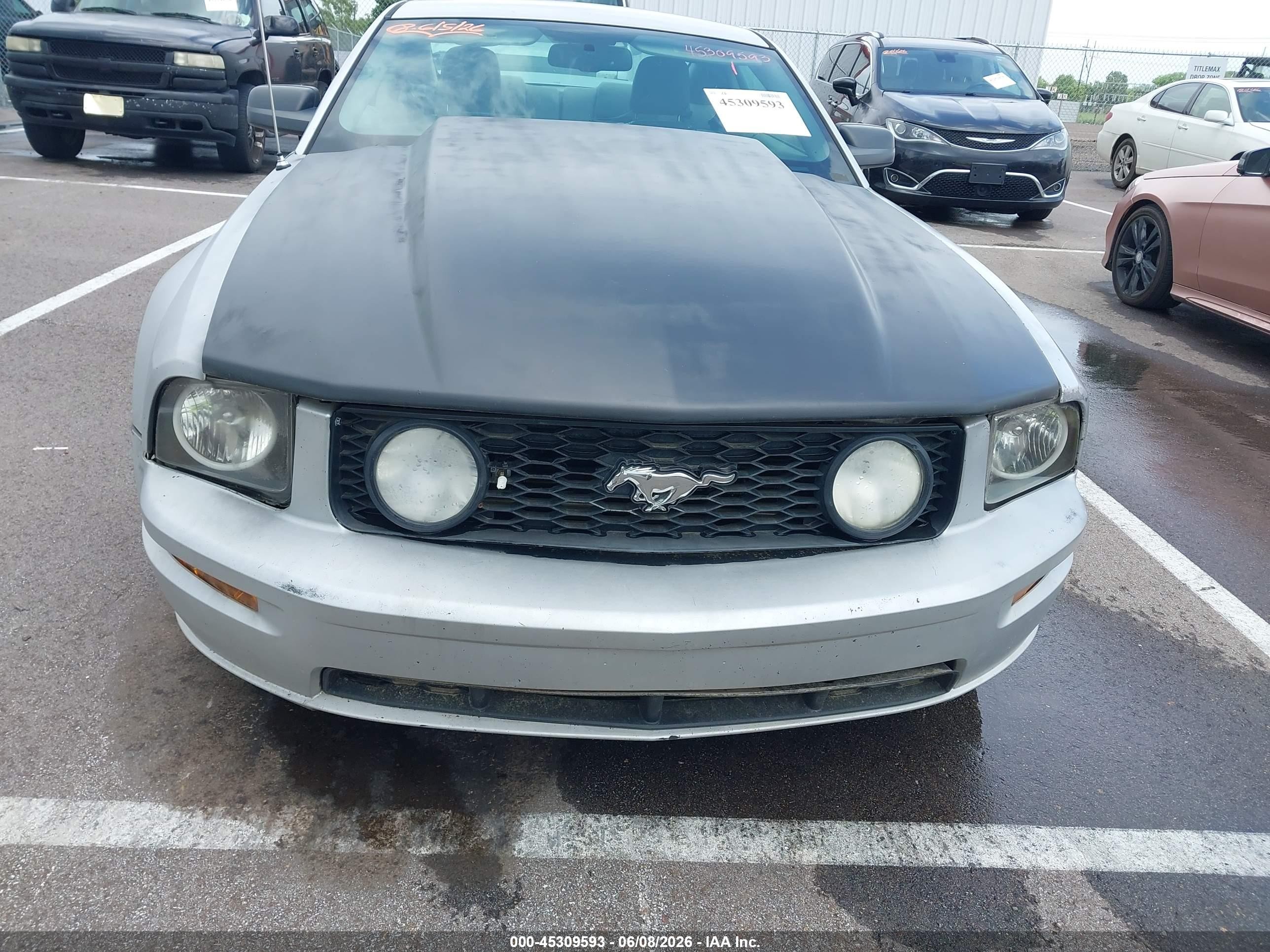 2009 Ford Mustang Gt/gt Premium Gray vin: 1ZVHT82H495107044
