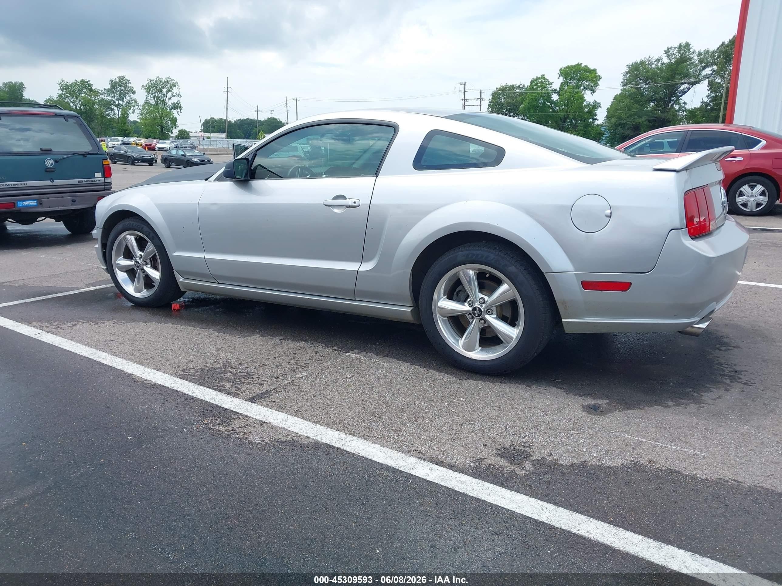 2009 Ford Mustang Gt/gt Premium Gray vin: 1ZVHT82H495107044