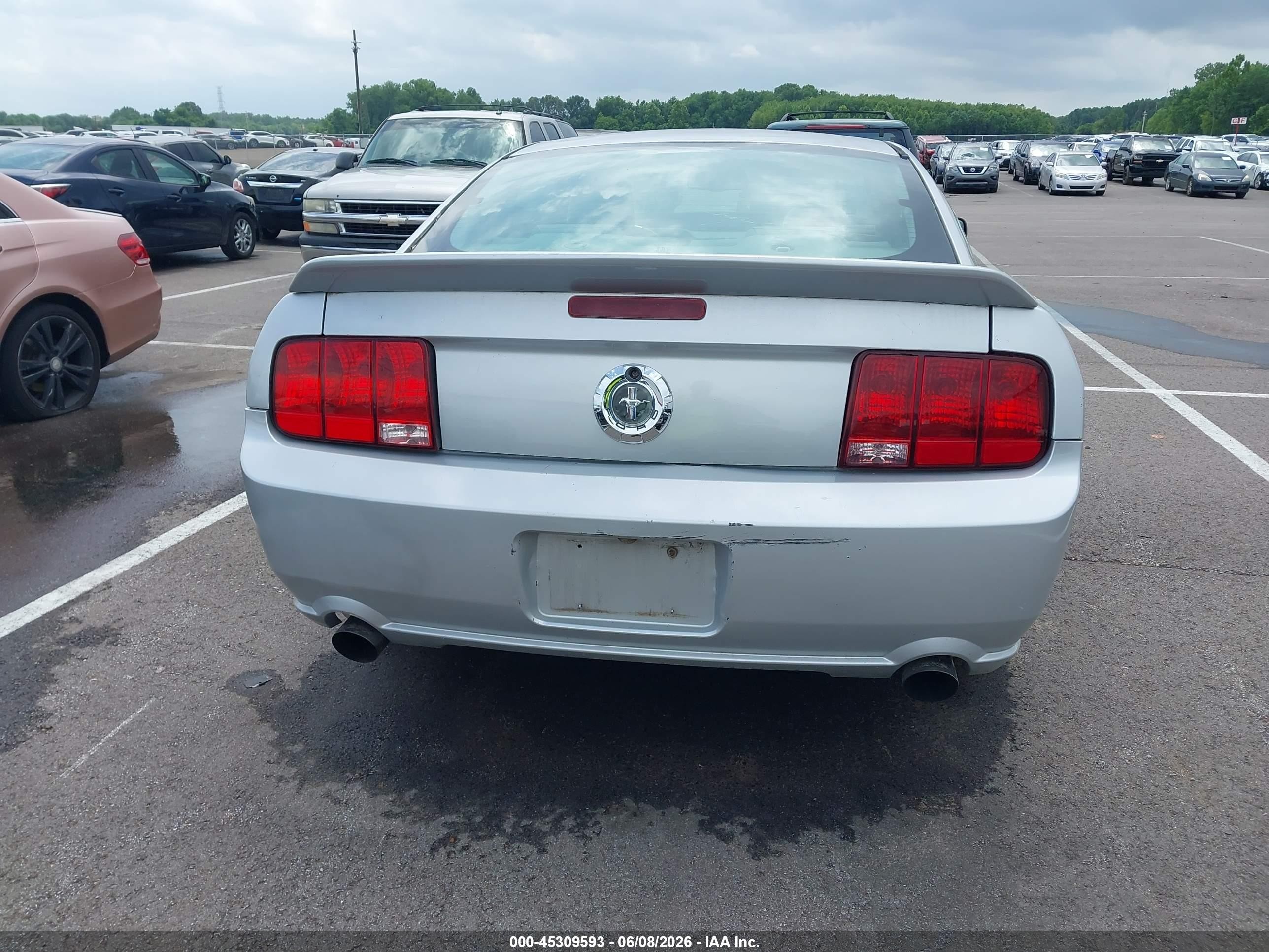 2009 Ford Mustang Gt/gt Premium Gray vin: 1ZVHT82H495107044