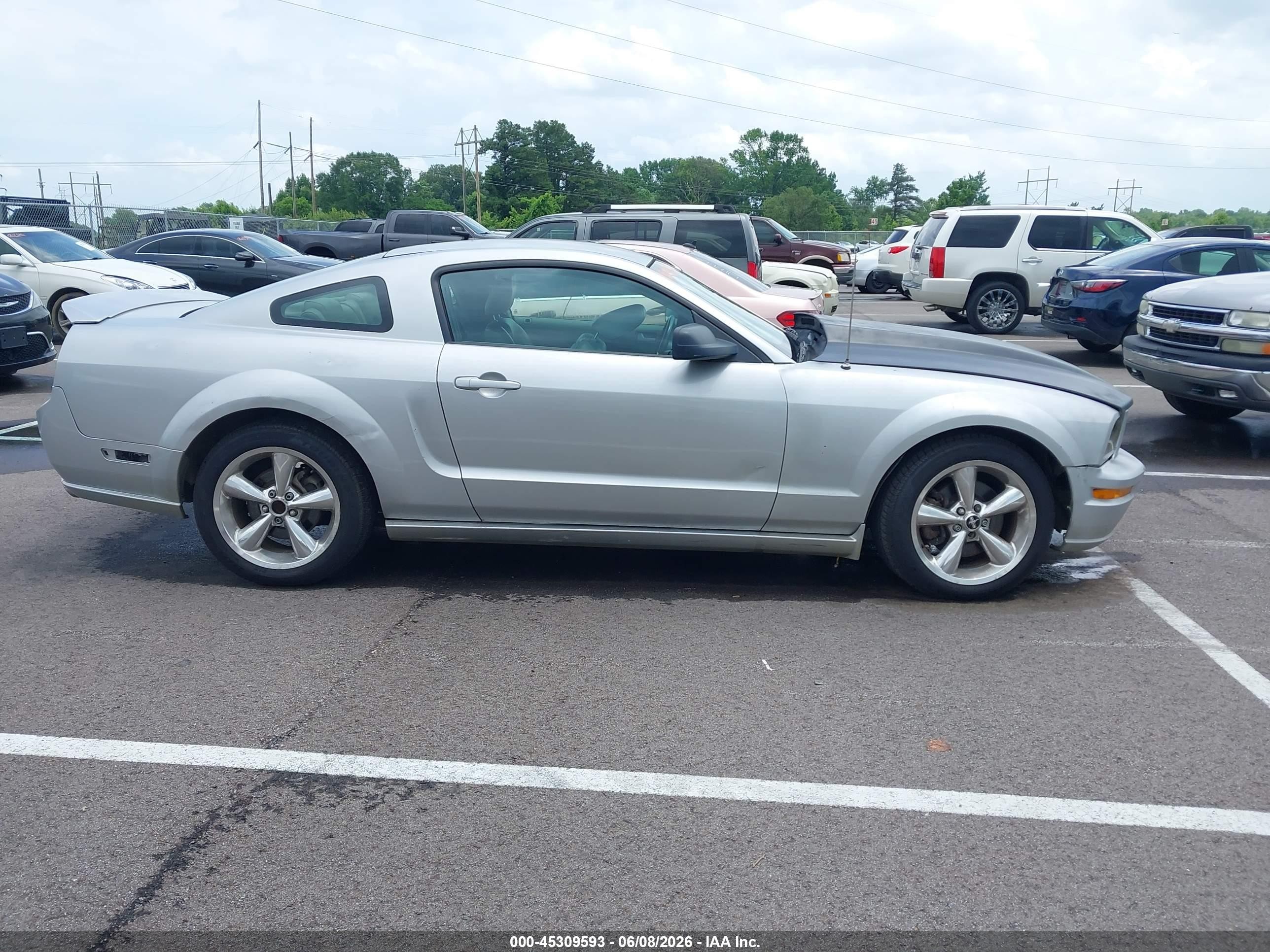 2009 Ford Mustang Gt/gt Premium Gray vin: 1ZVHT82H495107044