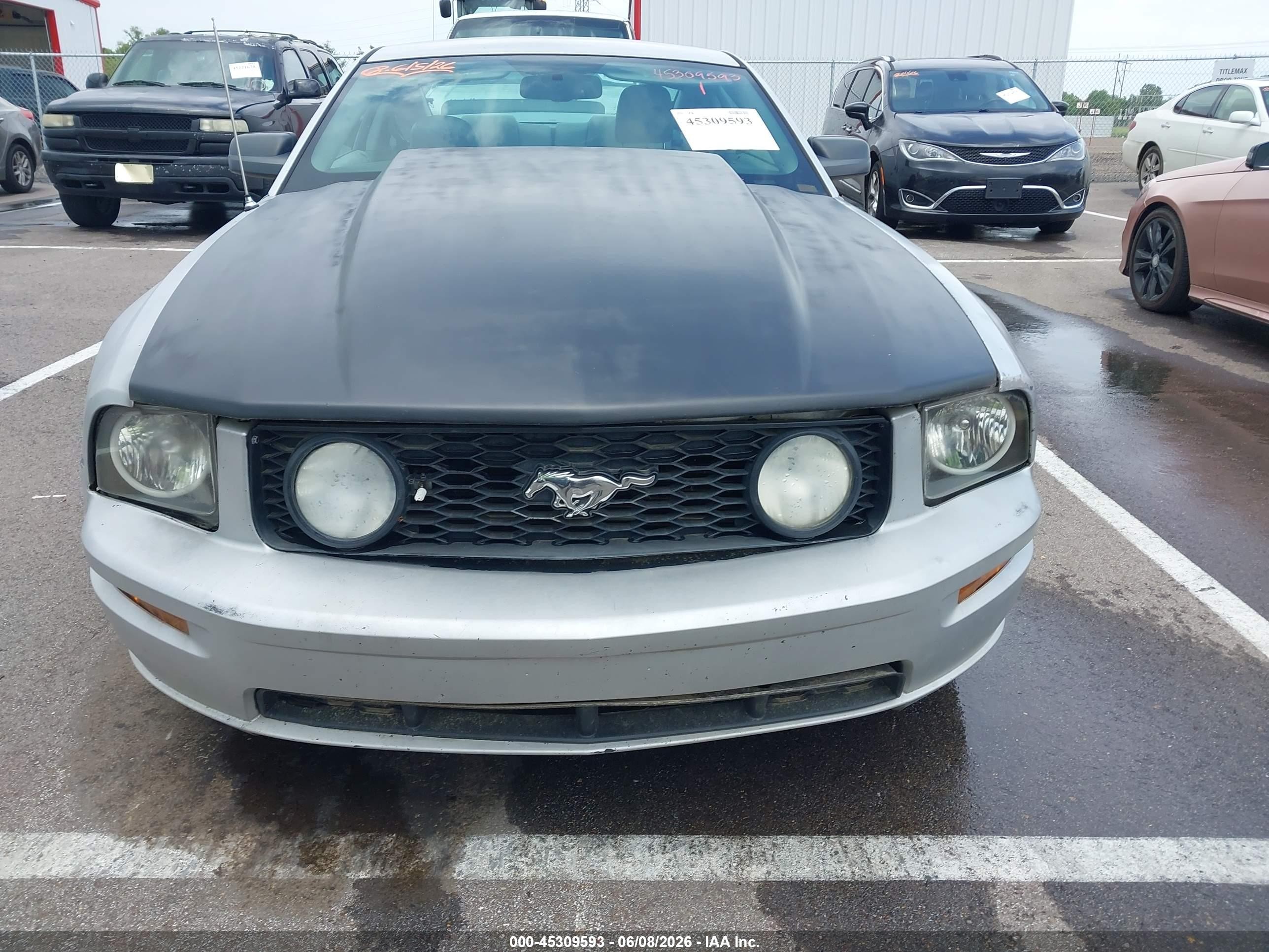 2009 Ford Mustang Gt/gt Premium Gray vin: 1ZVHT82H495107044