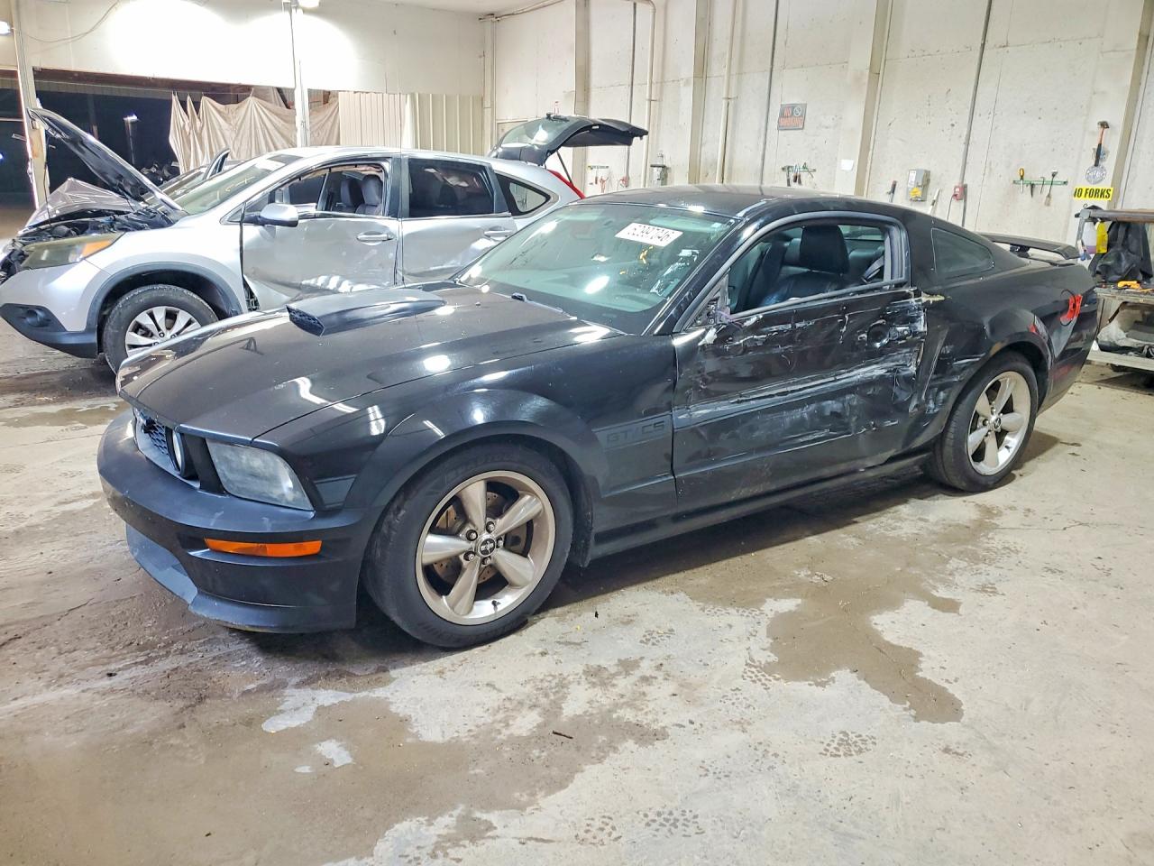 1ZVHT82H495122840