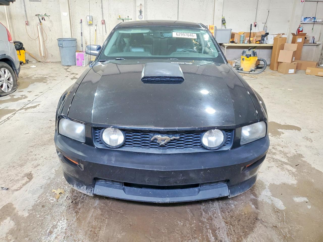 2009 Ford Mustang Gt Black vin: 1ZVHT82H495122840
