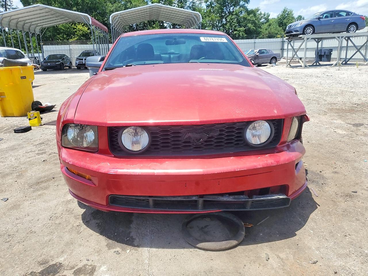 2005 Ford Mustang Gt Burgundy vin: 1ZVHT82H555119066