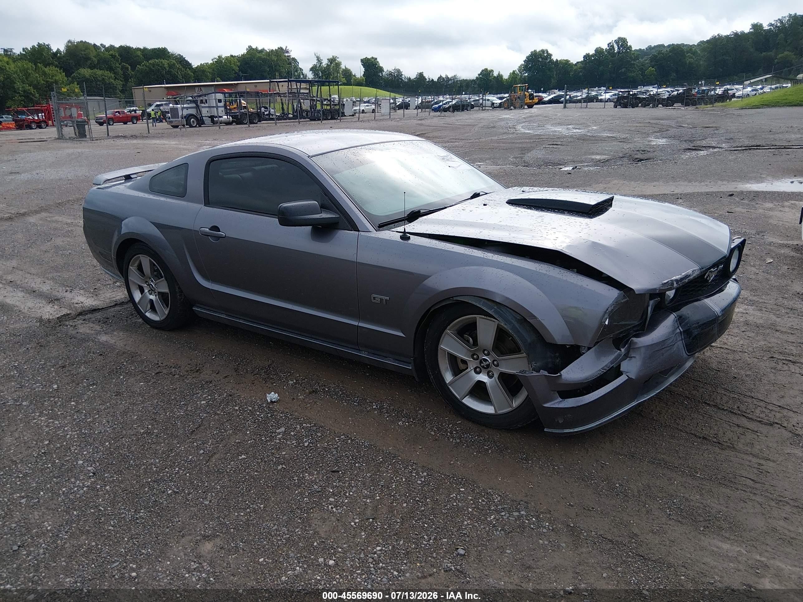 2006 Ford Mustang Gt Gray vin: 1ZVHT82H565137620