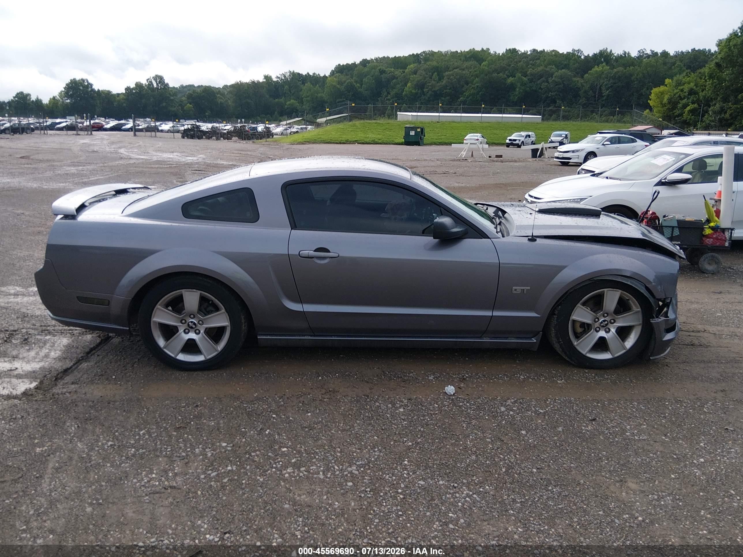 2006 Ford Mustang Gt Gray vin: 1ZVHT82H565137620