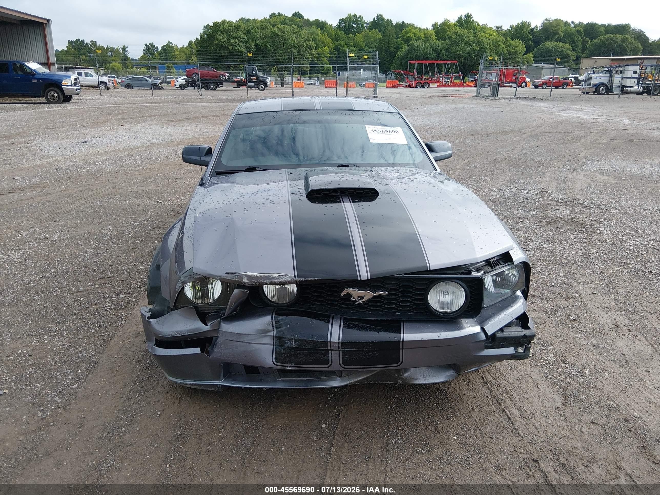 2006 Ford Mustang Gt Gray vin: 1ZVHT82H565137620
