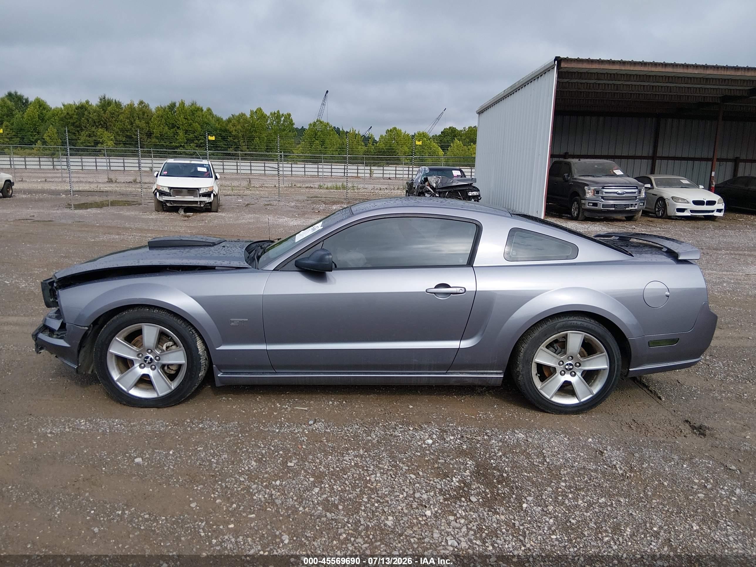 2006 Ford Mustang Gt Gray vin: 1ZVHT82H565137620