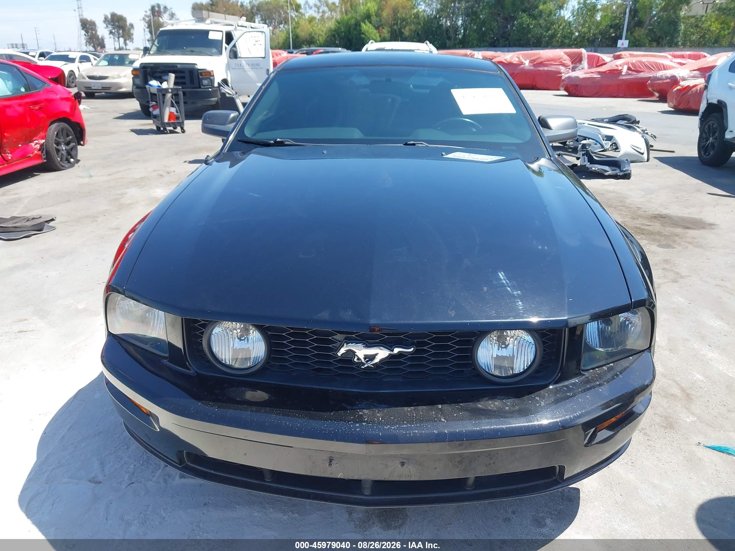2006 Ford Mustang Gt Black vin: 1ZVHT82H565139982