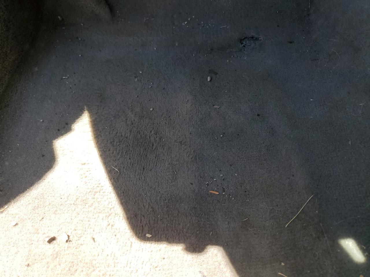 2007 Ford Mustang Gt Белый vin: 1ZVHT82H575302213 Damage: Left Front Carpet, Worn, Replacement Required