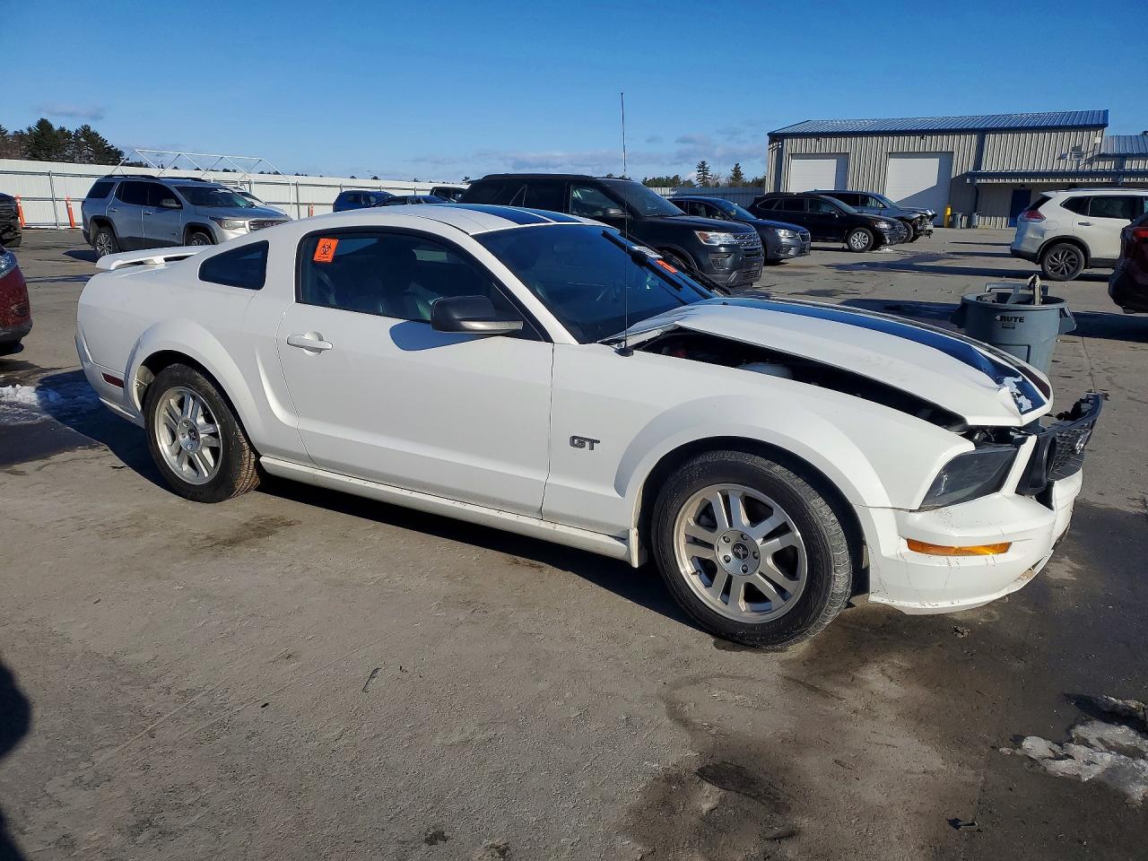 2008 Ford Mustang Gt White vin: 1ZVHT82H585144134
