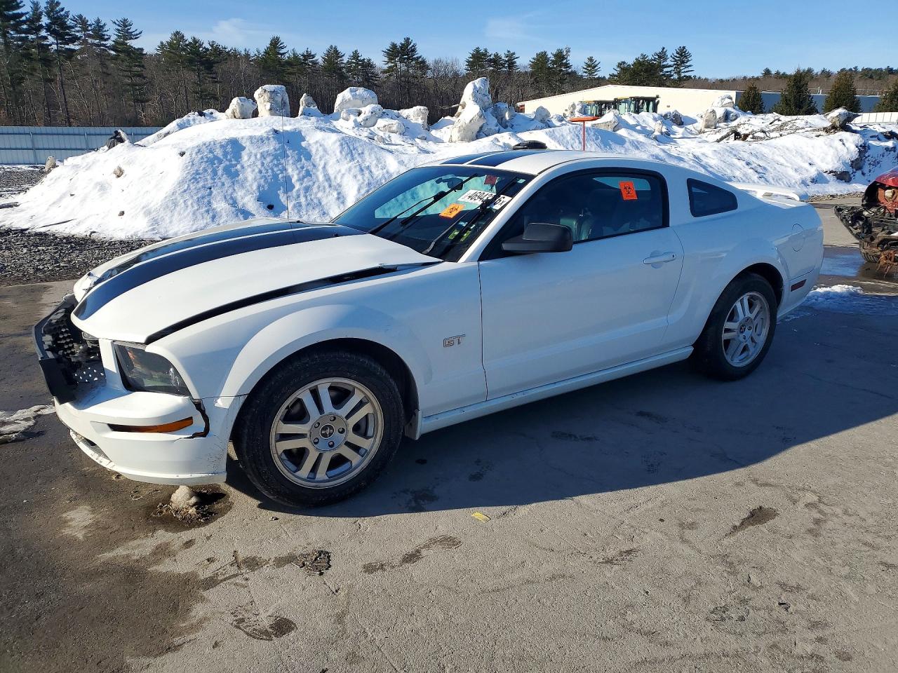2008 Ford Mustang Gt White vin: 1ZVHT82H585144134