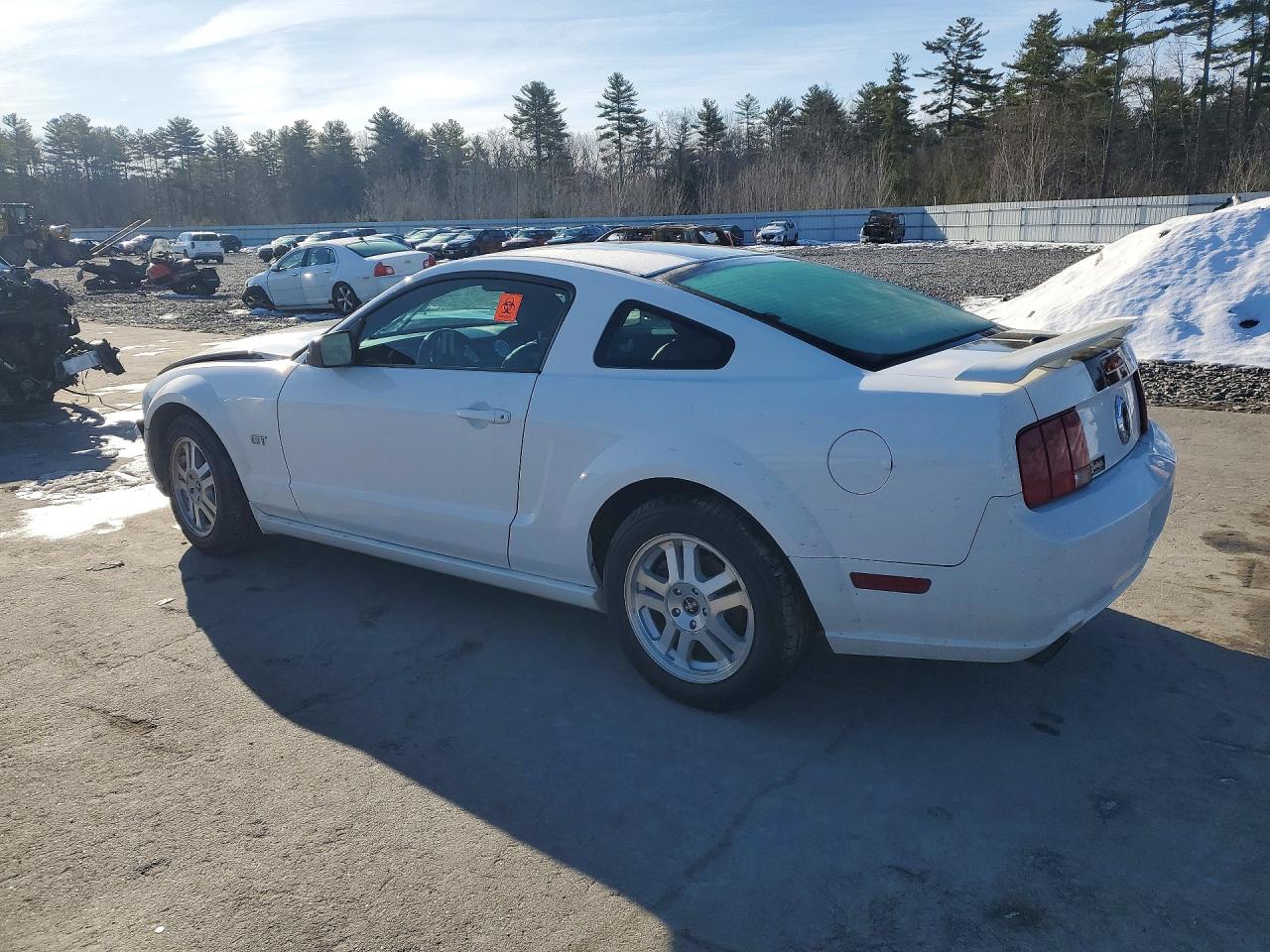 2008 Ford Mustang Gt White vin: 1ZVHT82H585144134