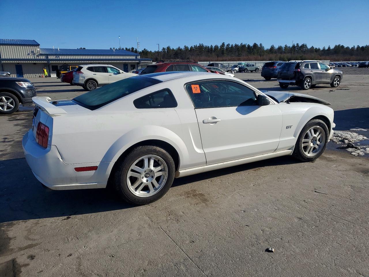 2008 Ford Mustang Gt White vin: 1ZVHT82H585144134