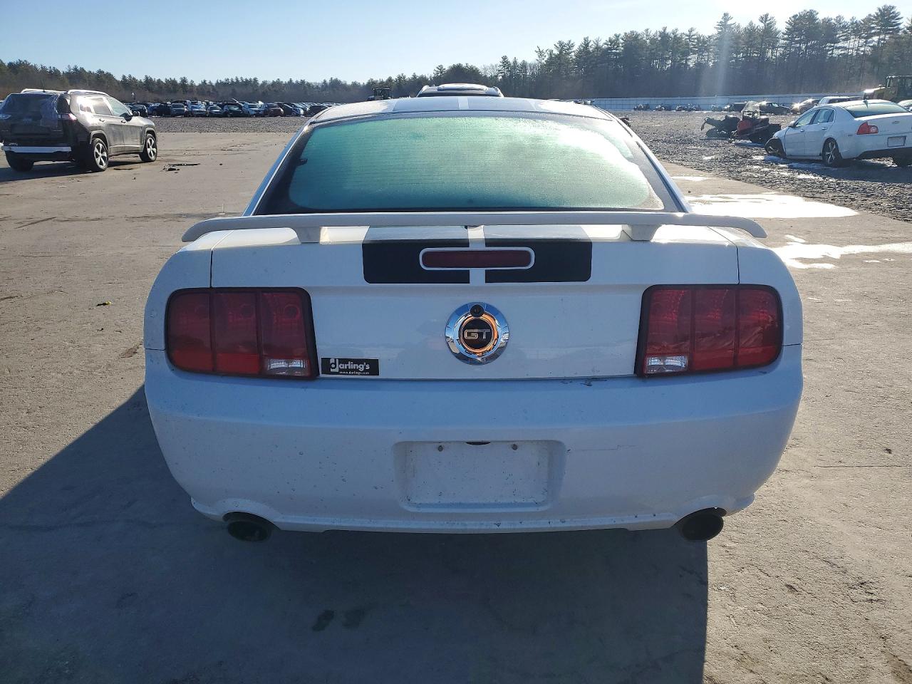 2008 Ford Mustang Gt White vin: 1ZVHT82H585144134
