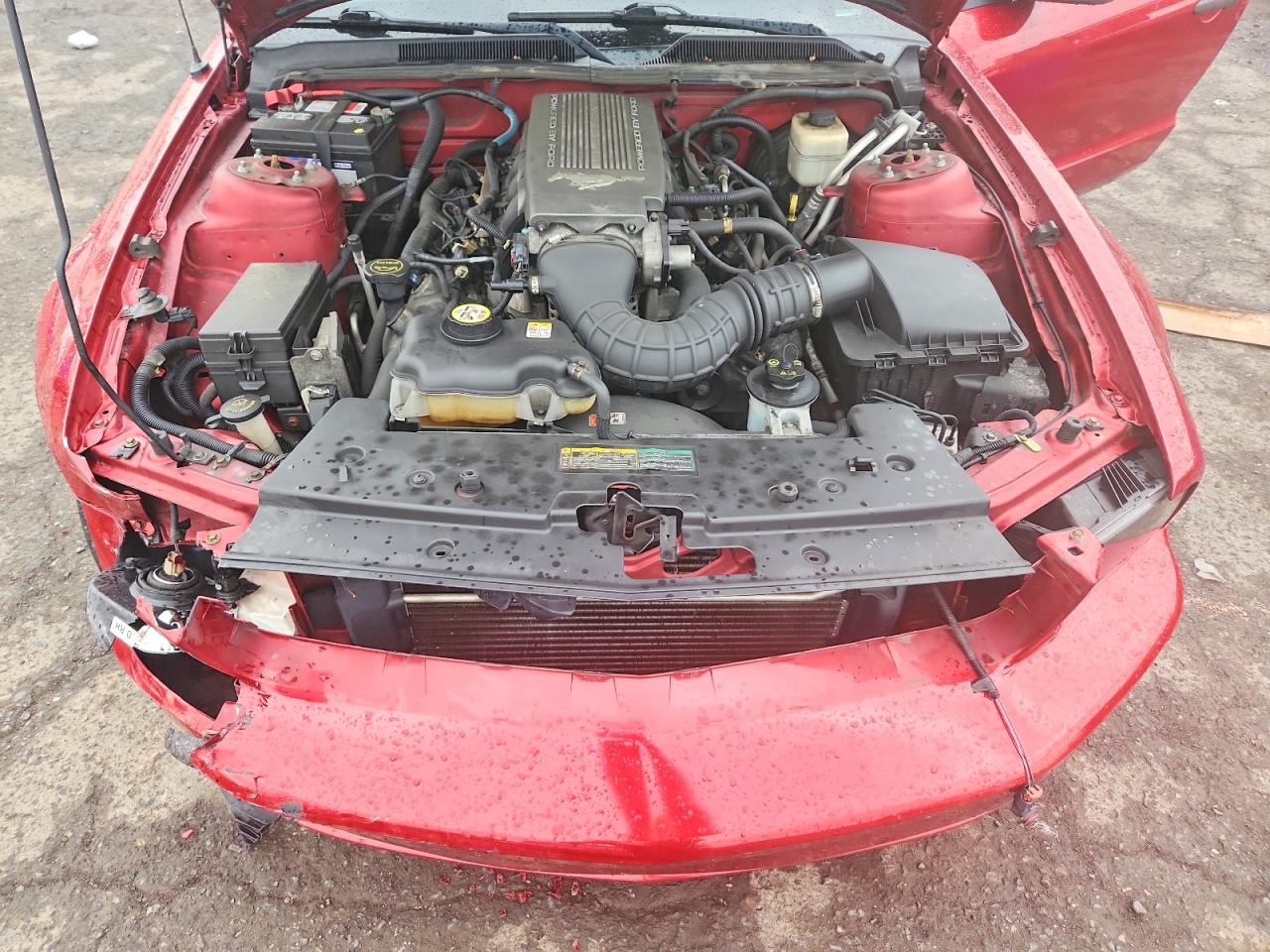 2008 Ford Mustang Gt Red vin: 1ZVHT82H585148104