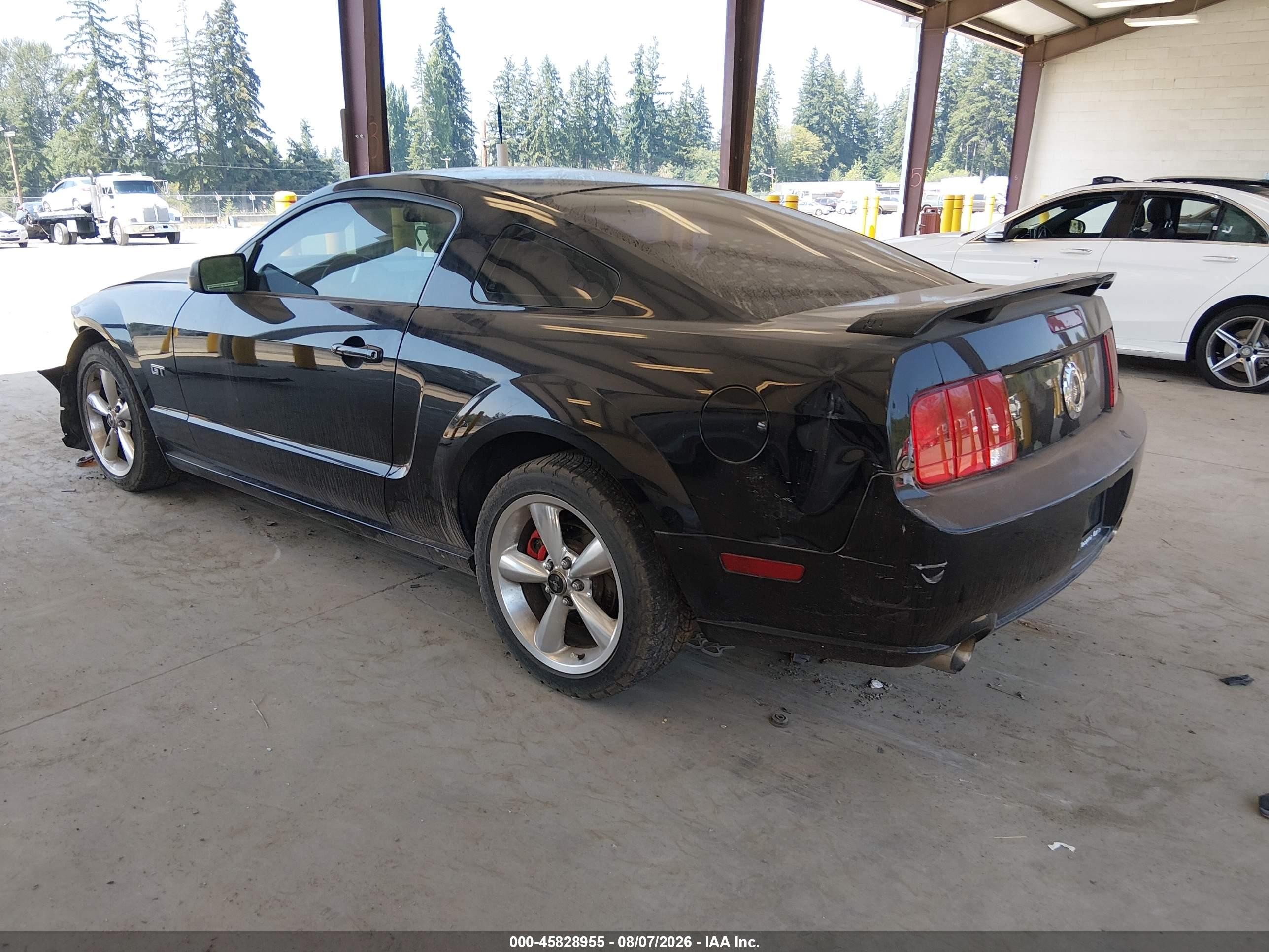 2008 Ford Mustang Gt Deluxe/gt Premium Black vin: 1ZVHT82H585165968