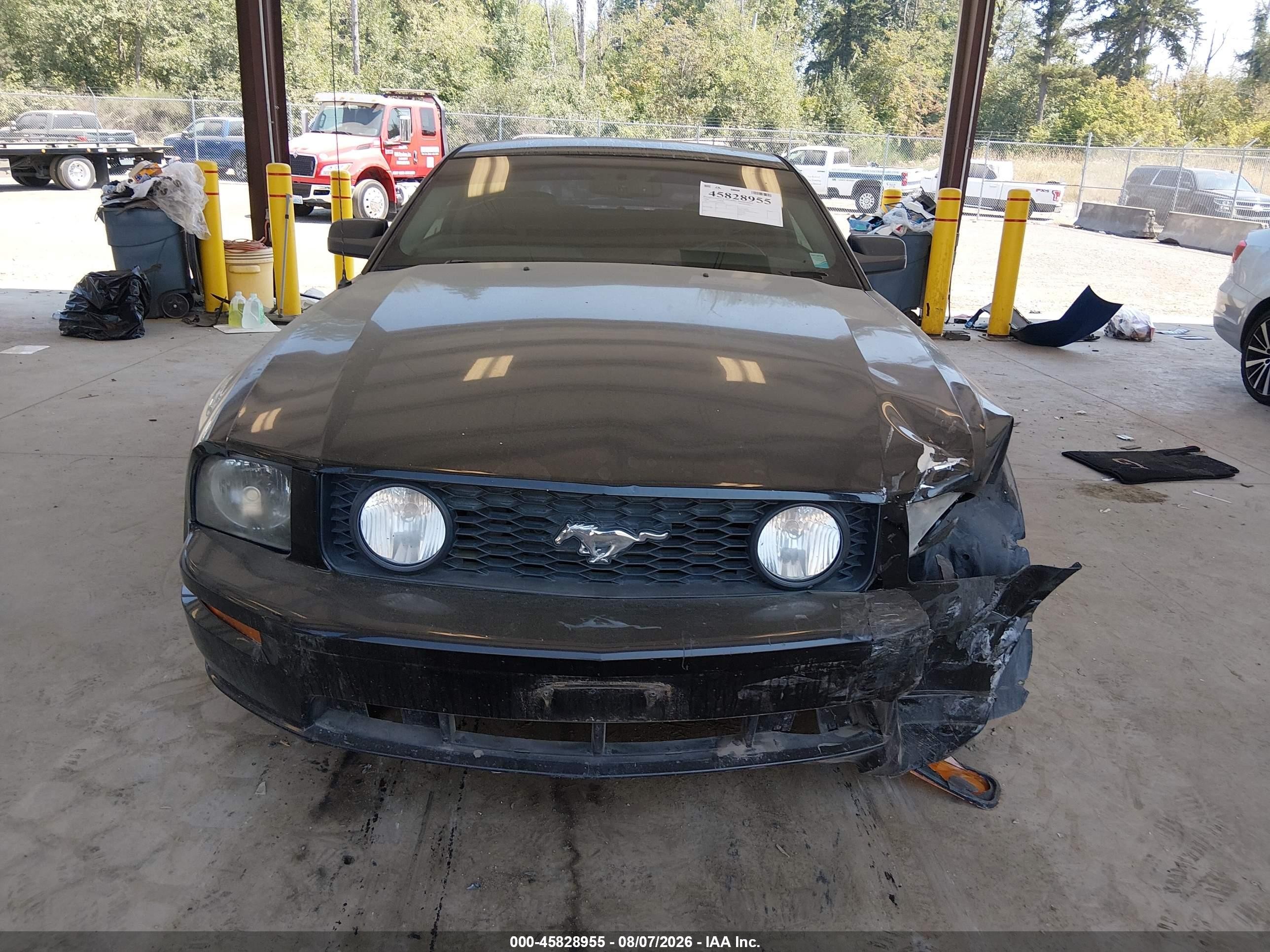 2008 Ford Mustang Gt Deluxe/gt Premium Black vin: 1ZVHT82H585165968