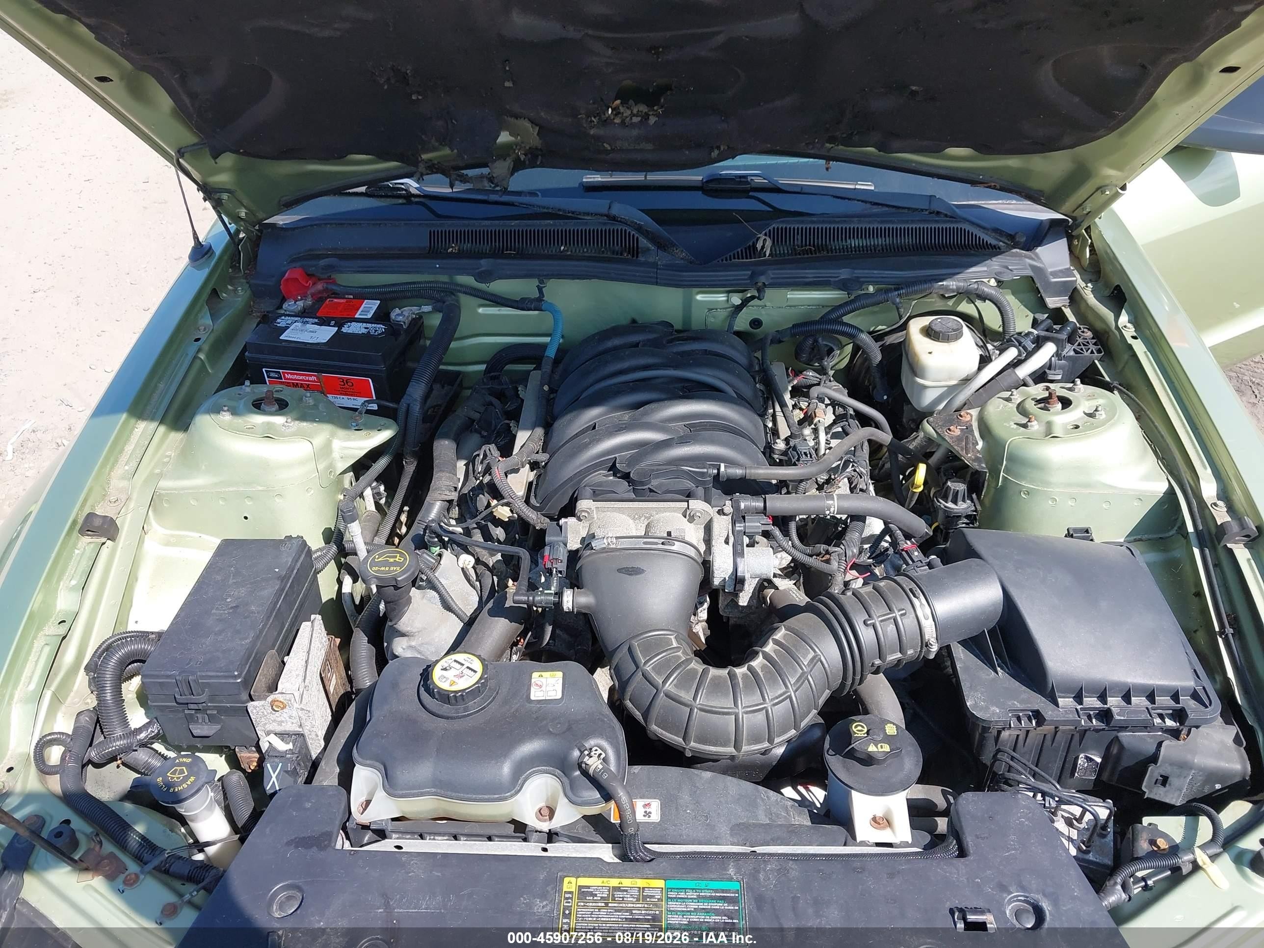 2005 Ford Mustang Gt Deluxe/gt Premium Green vin: 1ZVHT82H655132215