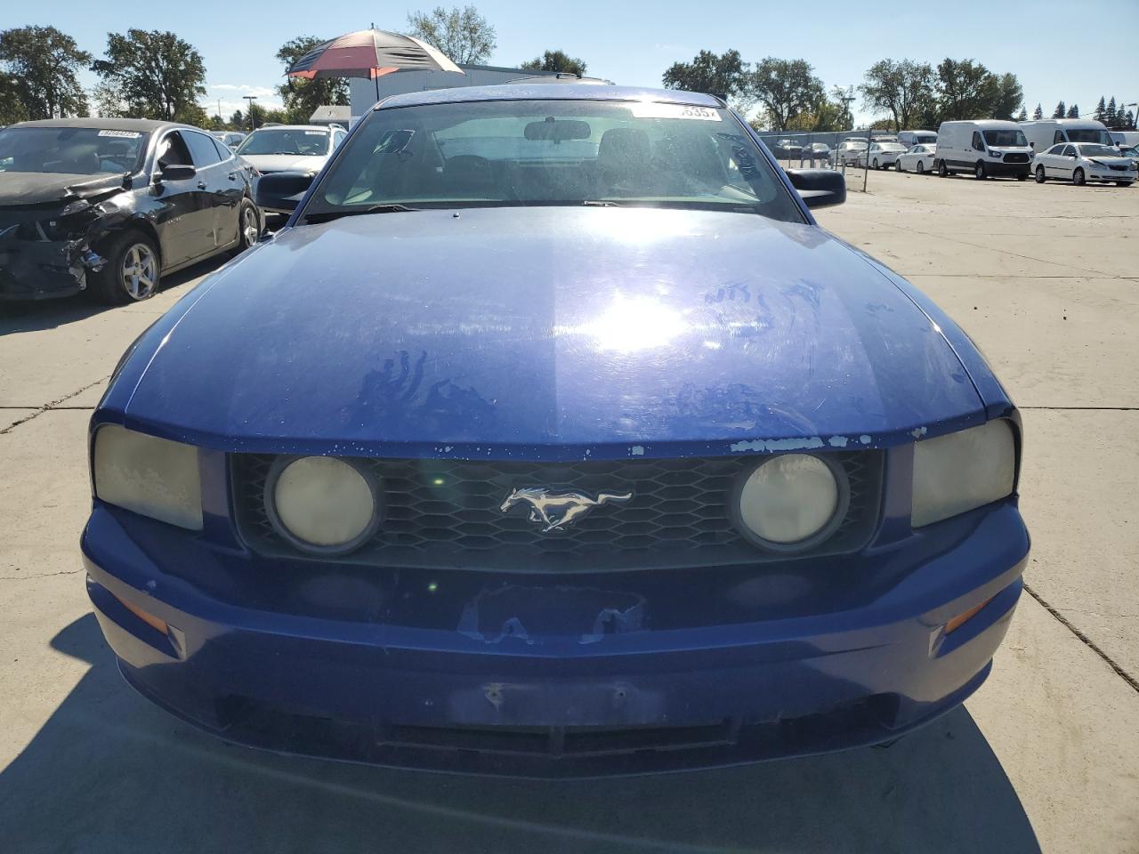 2005 Ford Mustang Gt Blue vin: 1ZVHT82H655218365
