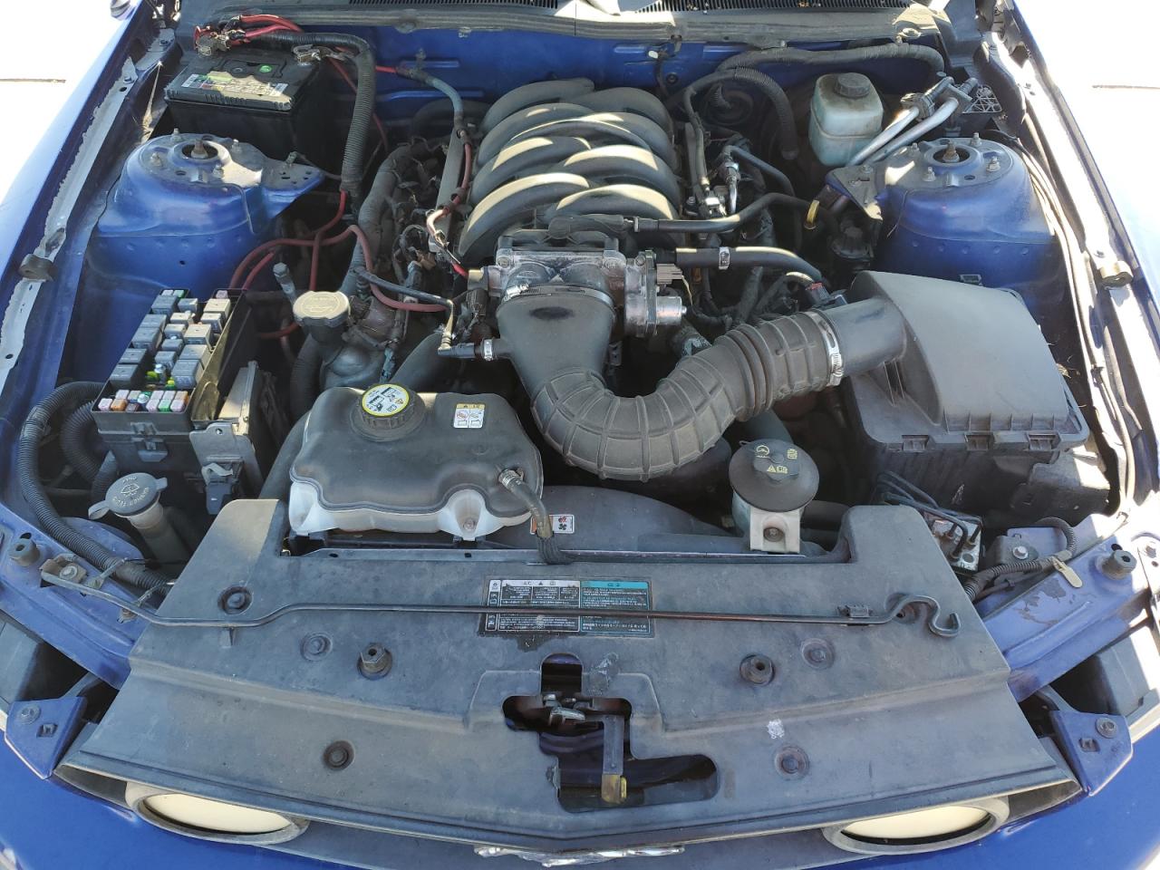 2005 Ford Mustang Gt Blue vin: 1ZVHT82H655218365
