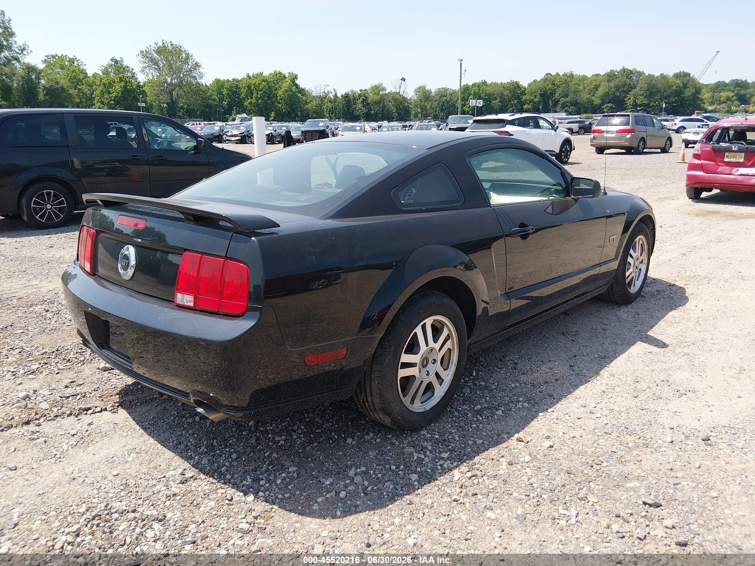 2006 Ford Mustang Gt Black vin: 1ZVHT82H665116064
