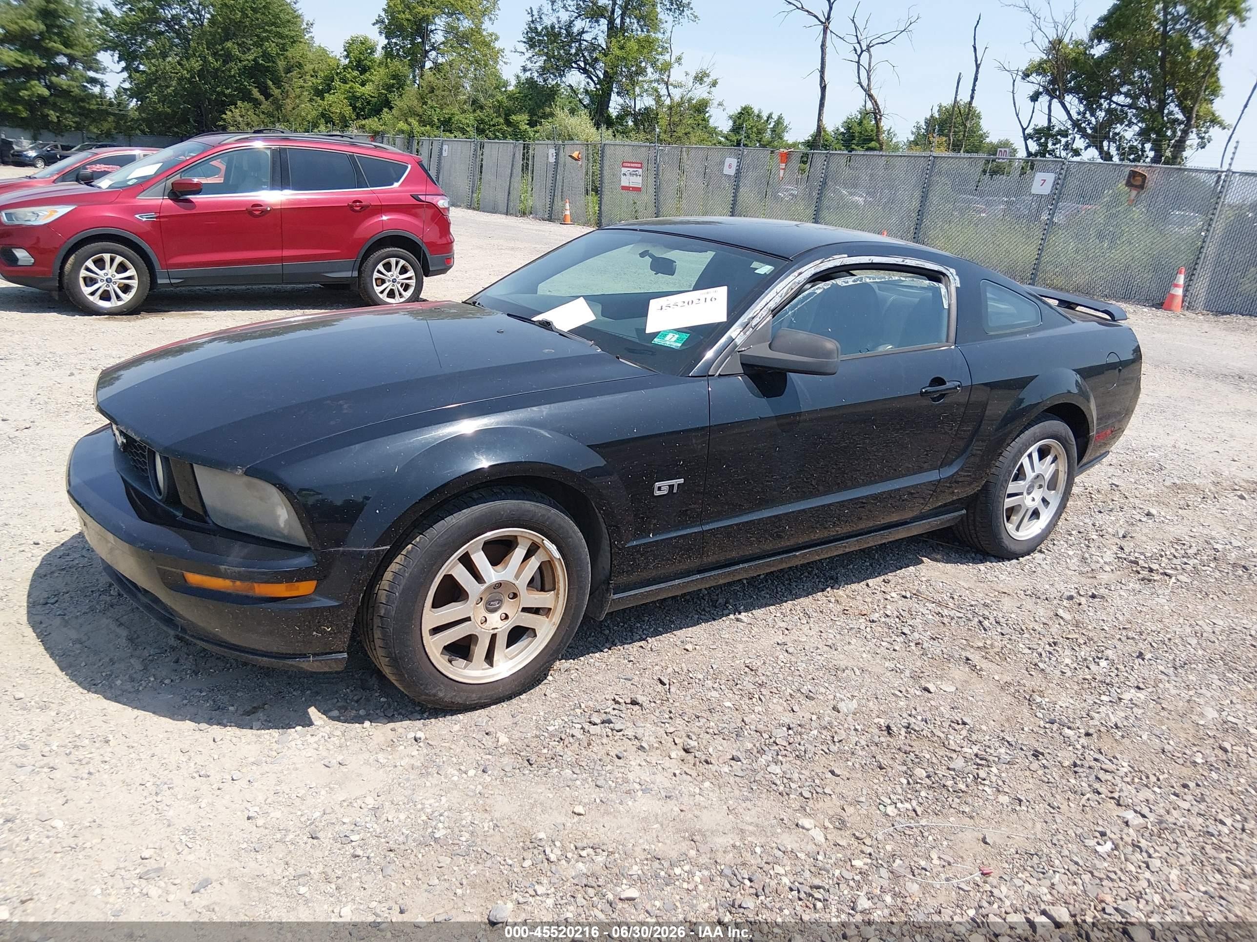 2006 Ford Mustang Gt Black vin: 1ZVHT82H665116064