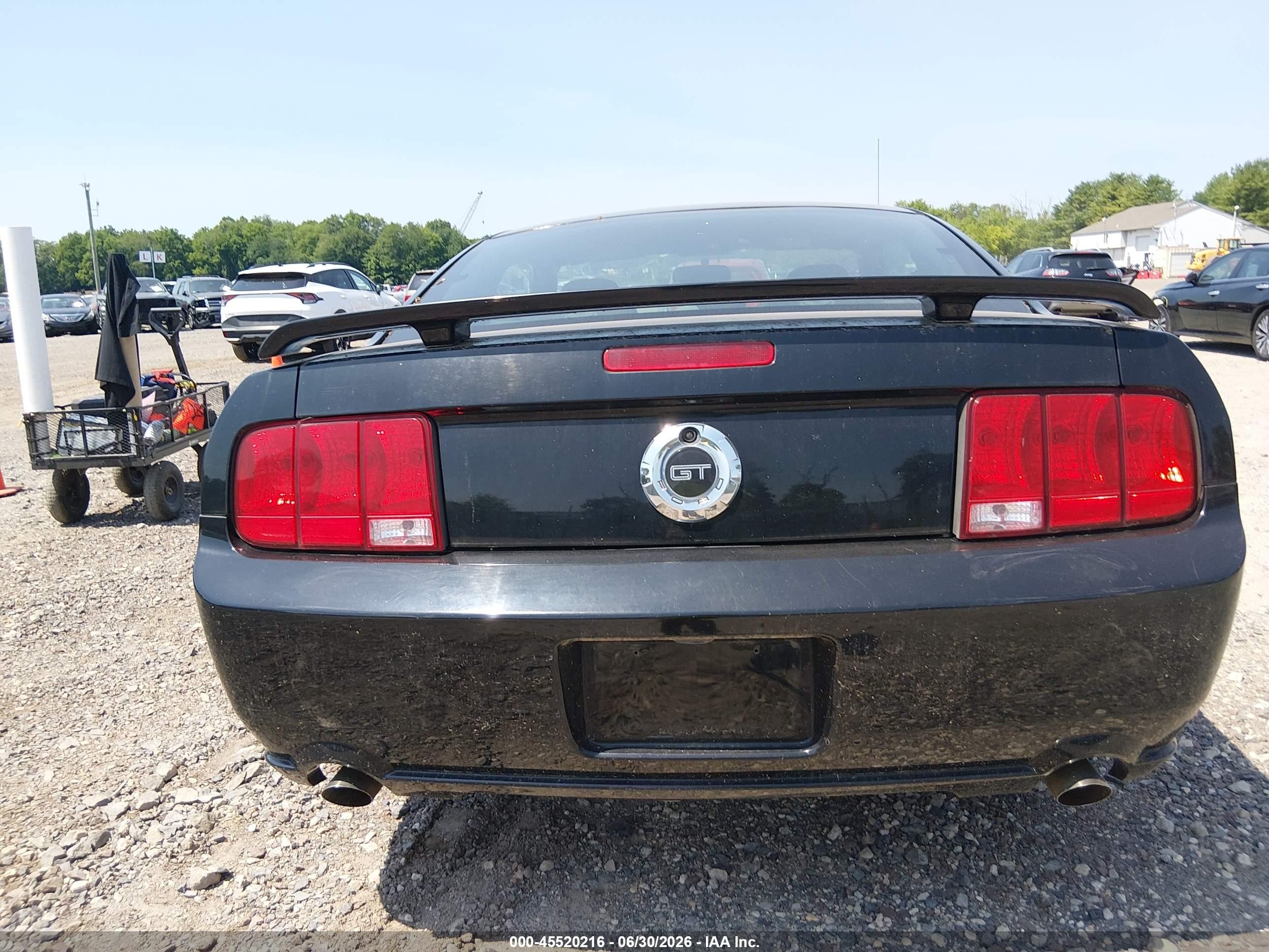 2006 Ford Mustang Gt Black vin: 1ZVHT82H665116064