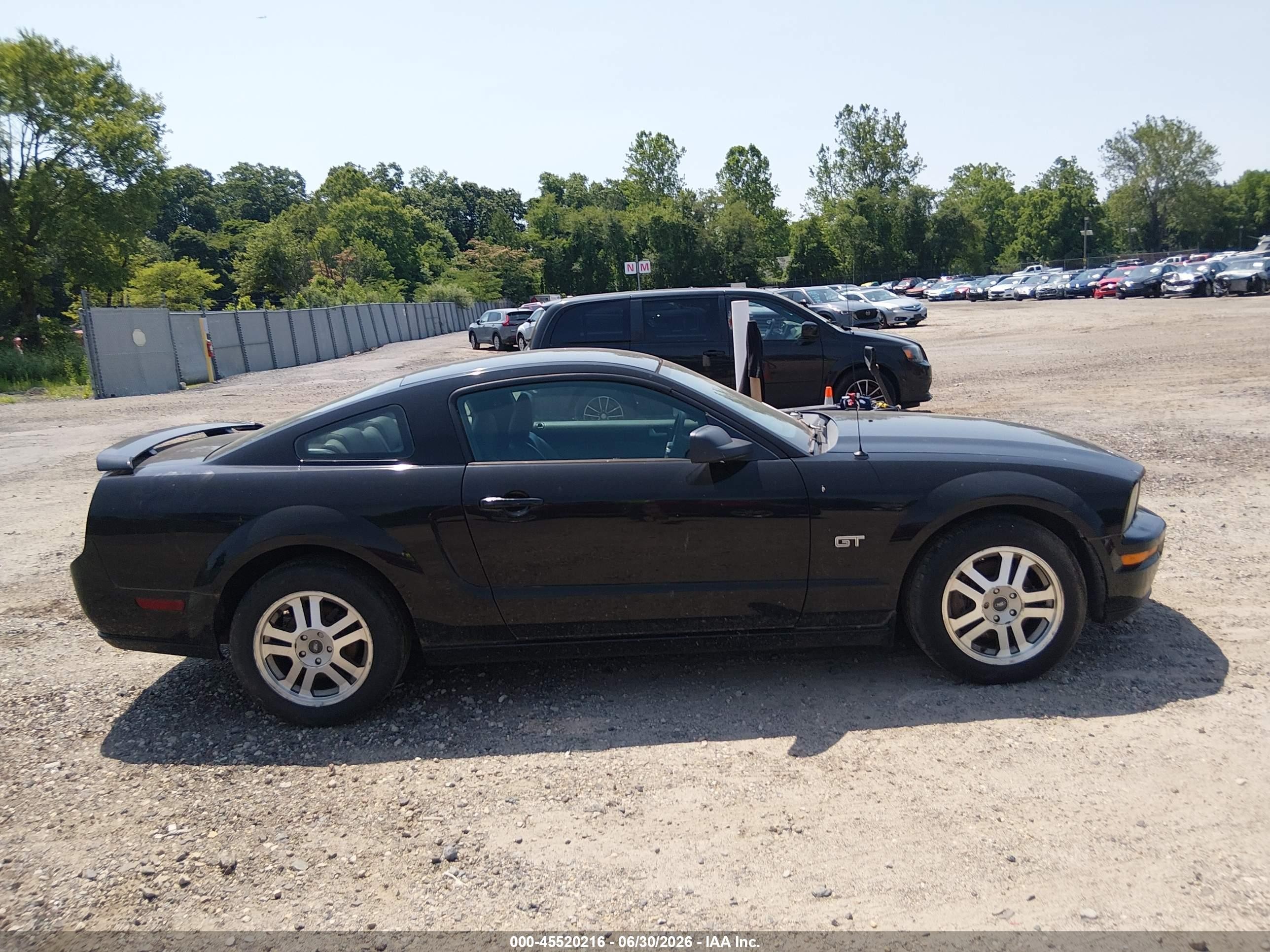 2006 Ford Mustang Gt Black vin: 1ZVHT82H665116064