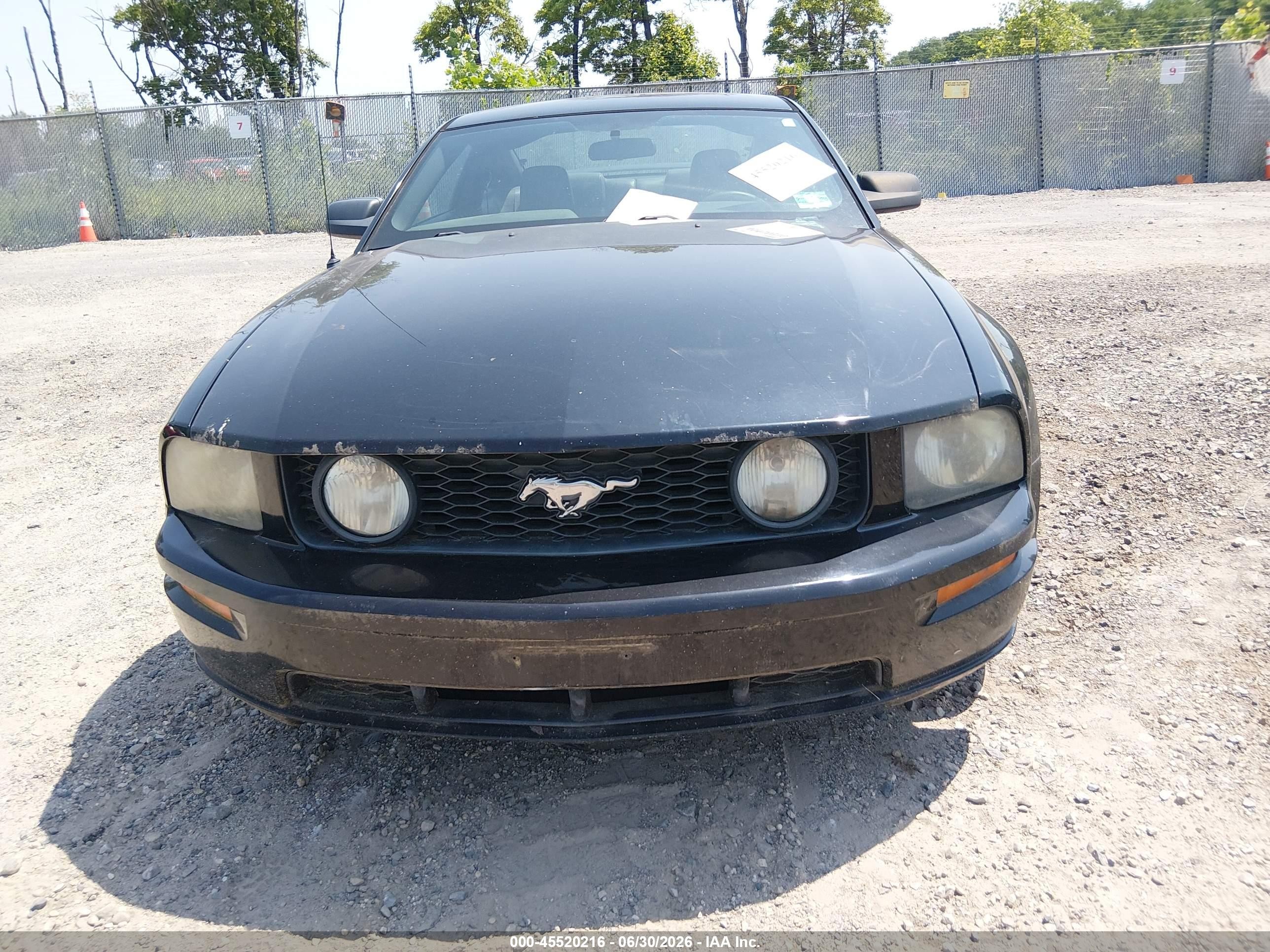 2006 Ford Mustang Gt Black vin: 1ZVHT82H665116064