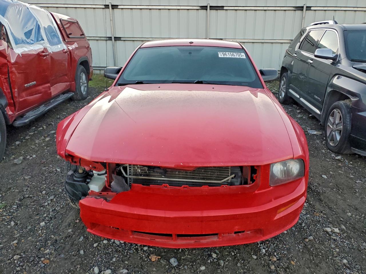 2006 Ford Mustang Gt Red vin: 1ZVHT82H665121751