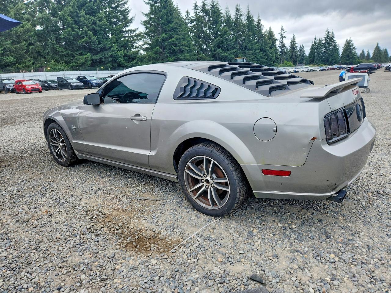 2009 Ford Mustang Gt Silver vin: 1ZVHT82H695110558