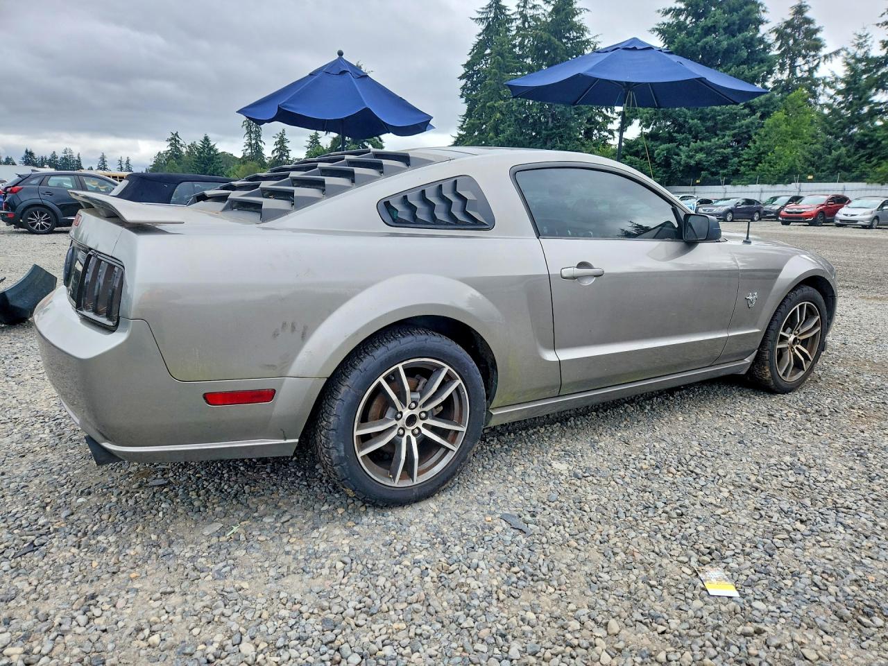 2009 Ford Mustang Gt Silver vin: 1ZVHT82H695110558