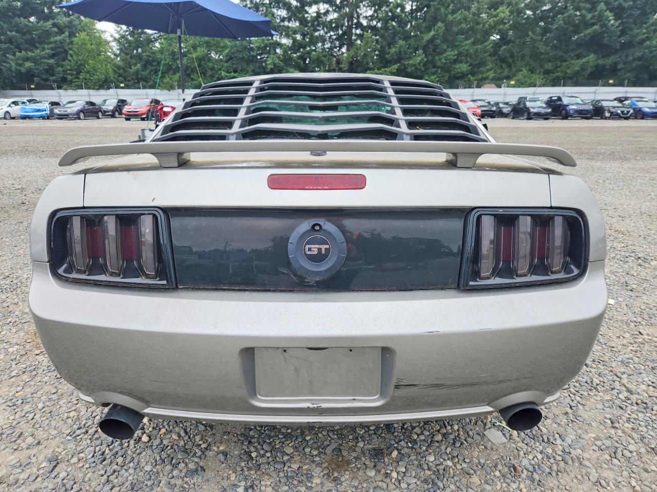 2009 Ford Mustang Gt Silver vin: 1ZVHT82H695110558