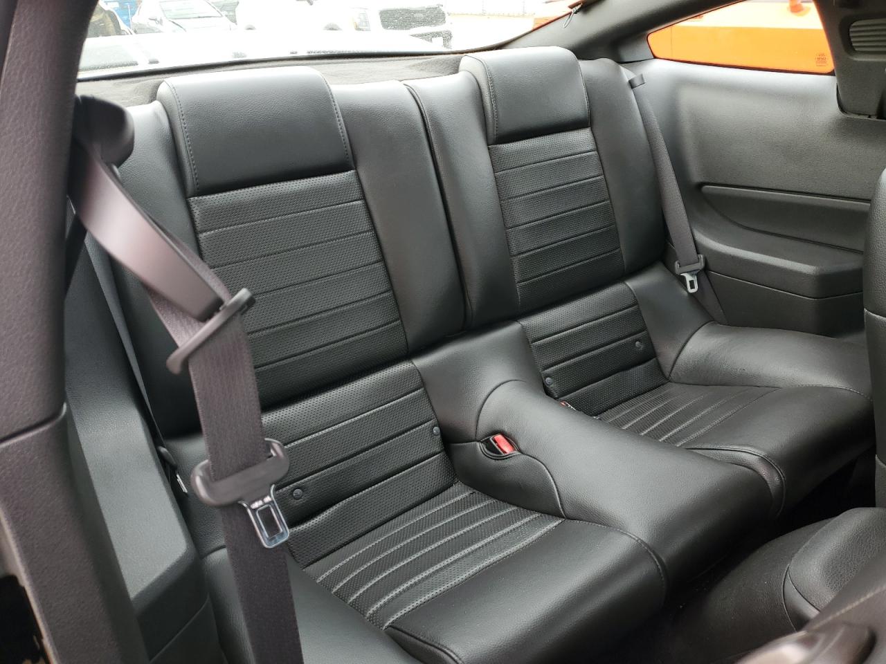 2009 Ford Mustang Gt Black vin: 1ZVHT82H695125562