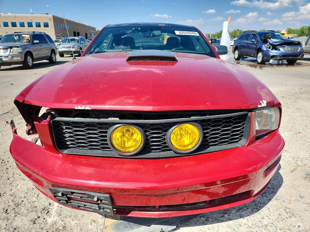 2009 Ford Mustang Gt Red vin: 1ZVHT82H695142510