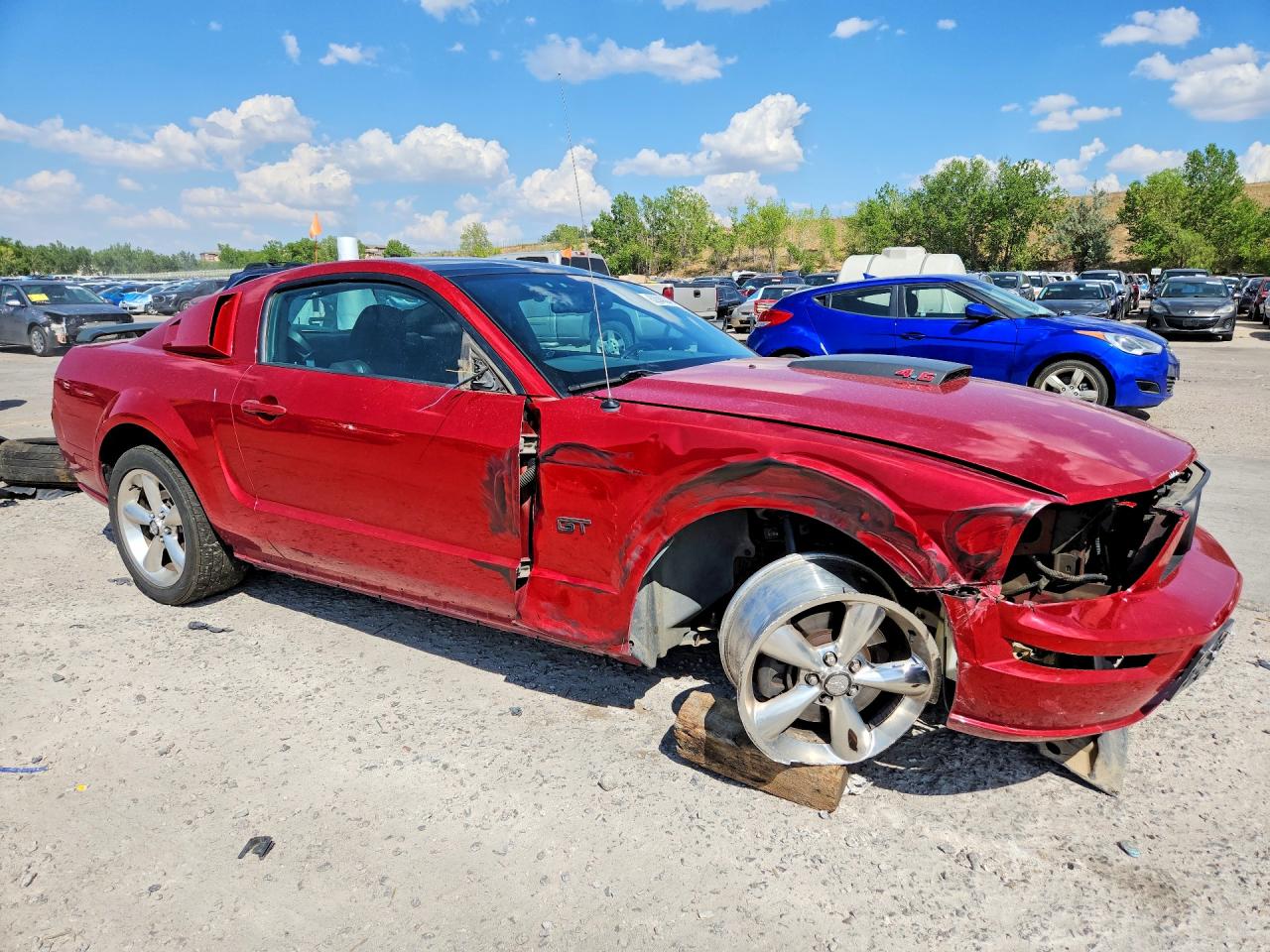 2009 Ford Mustang Gt Red vin: 1ZVHT82H695142510