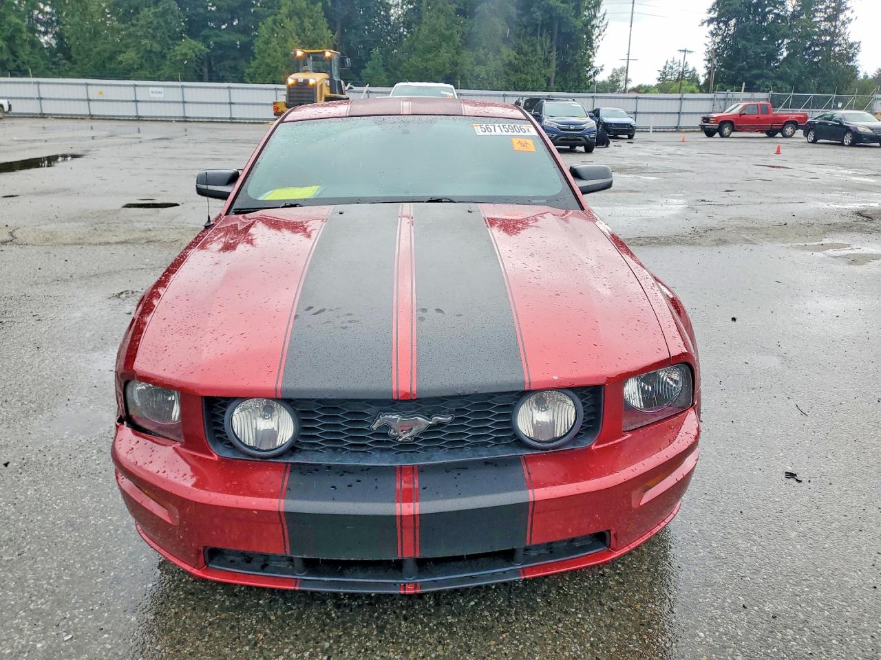 2006 Ford Mustang Gt Red vin: 1ZVHT82H765198595